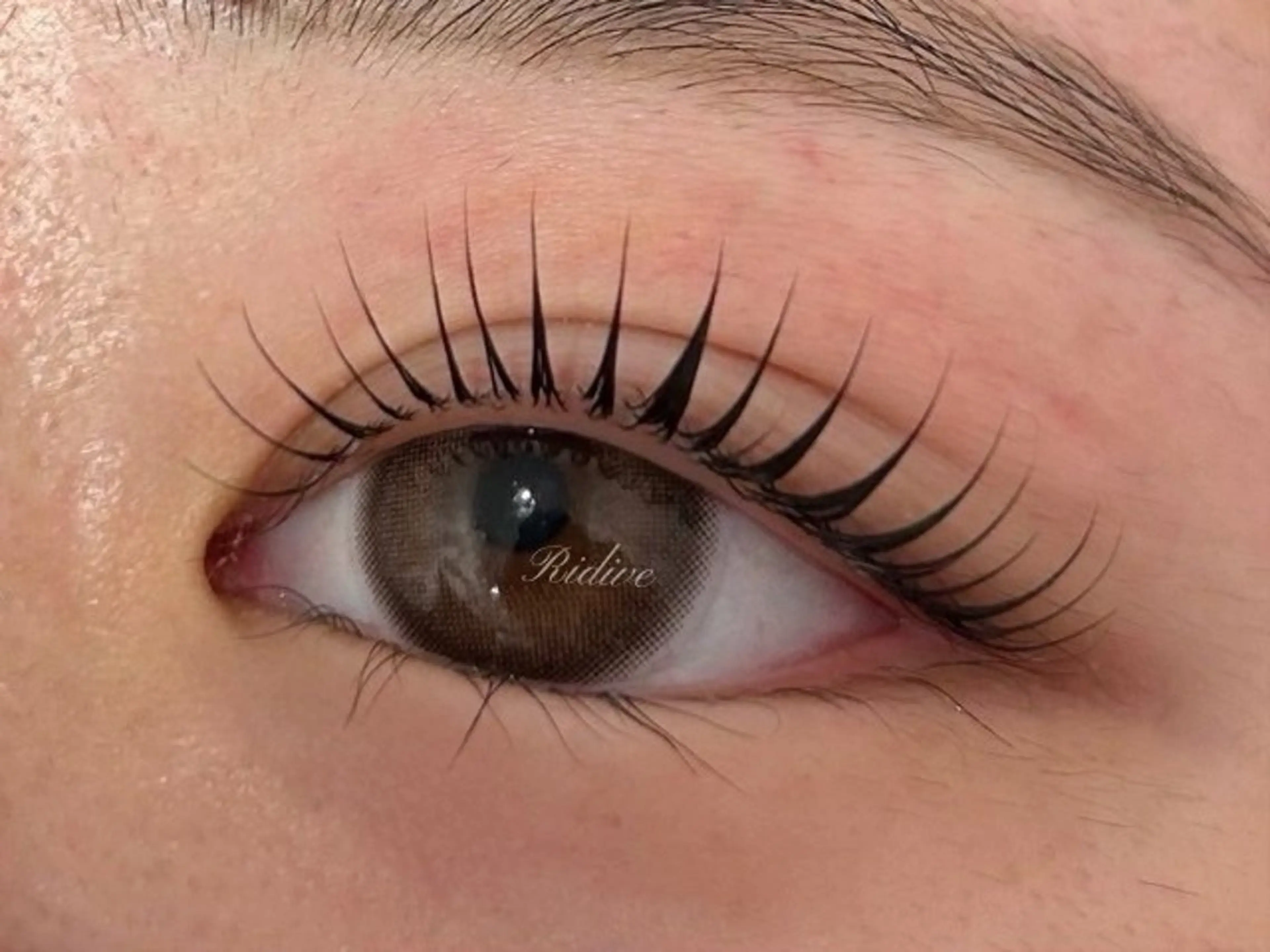 マツエク・マツパ マツパ アイブロウサロンRidive【吉祥寺所属・Ridive Ruiの眉毛・アイブロウイメージ