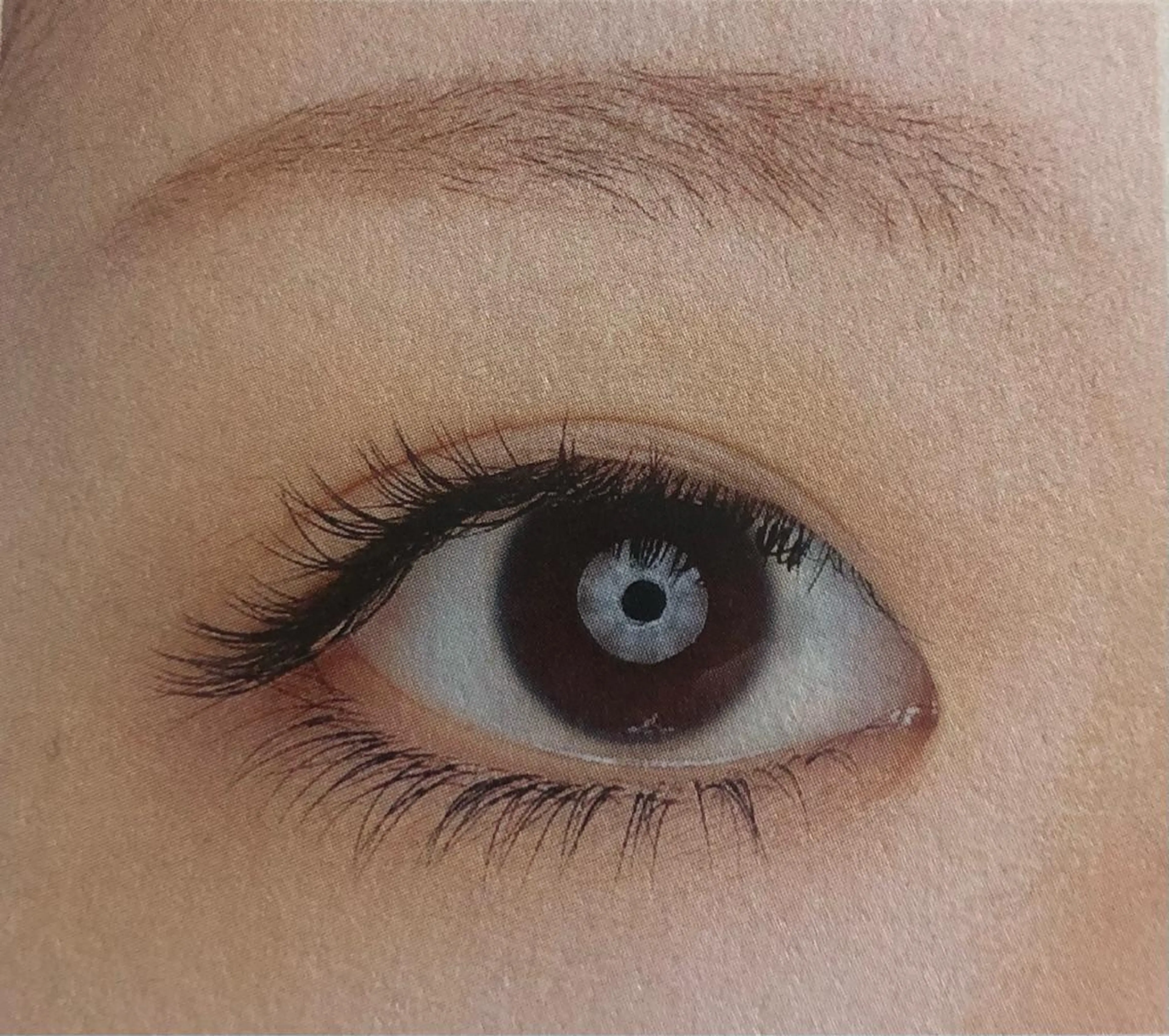 下まつ毛　40本の写真