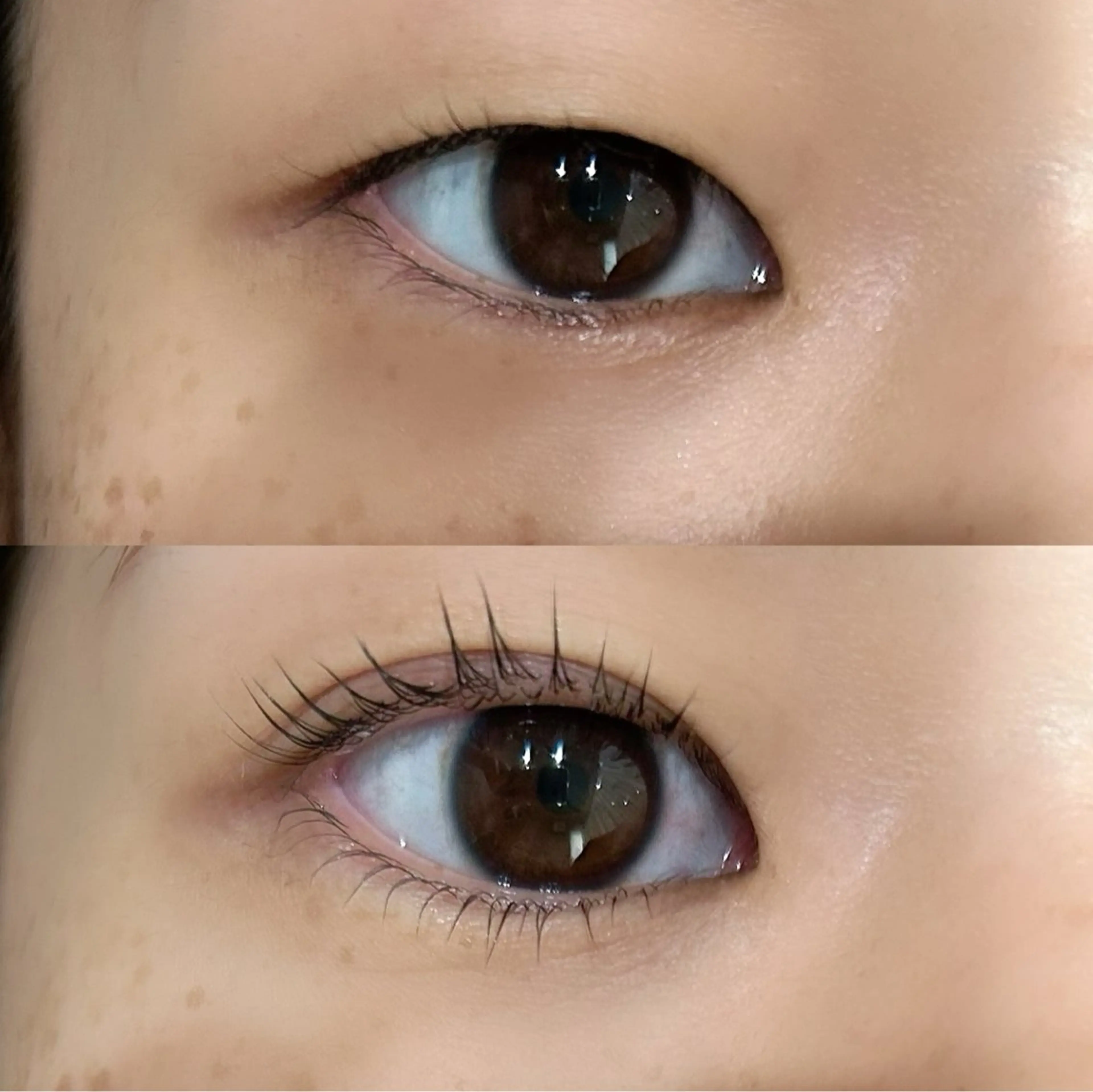 マツエク・マツパ KIMOTO 🐈‍⬛🤍のマツエク・マツパデザイン