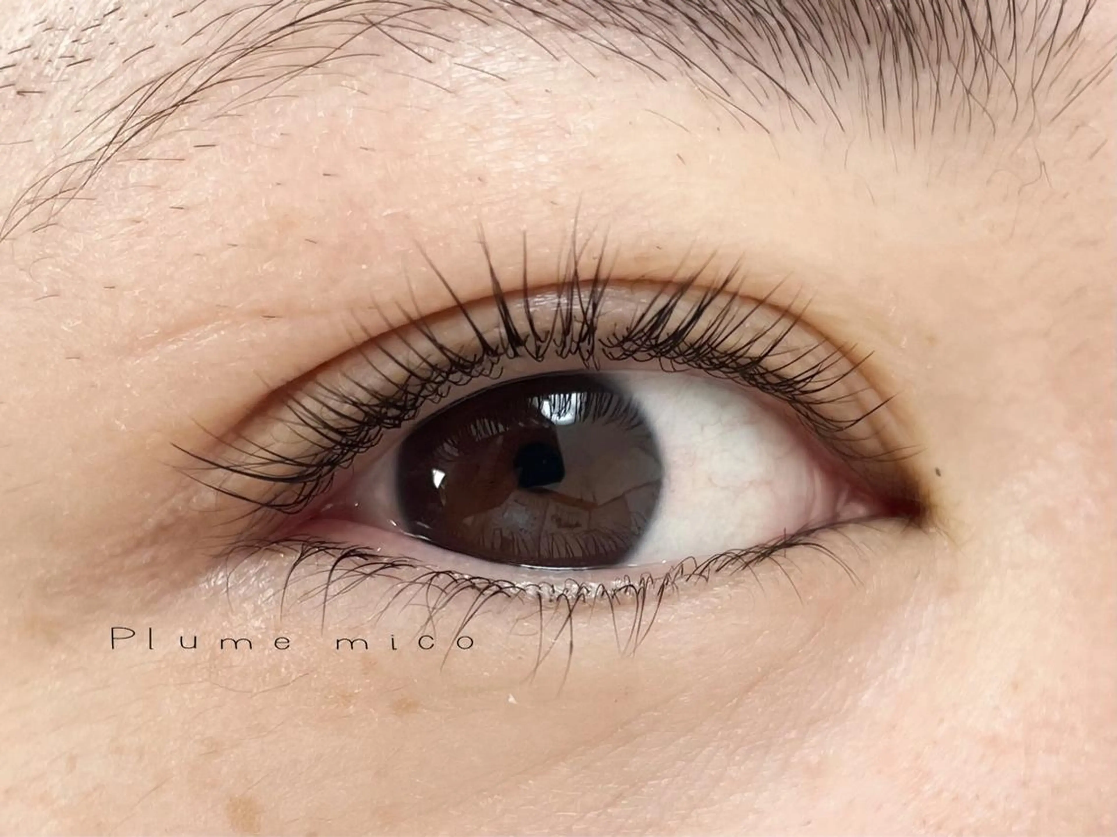 マツエク・マツパ マツパ Plume micoのマツエク・マツパデザイン