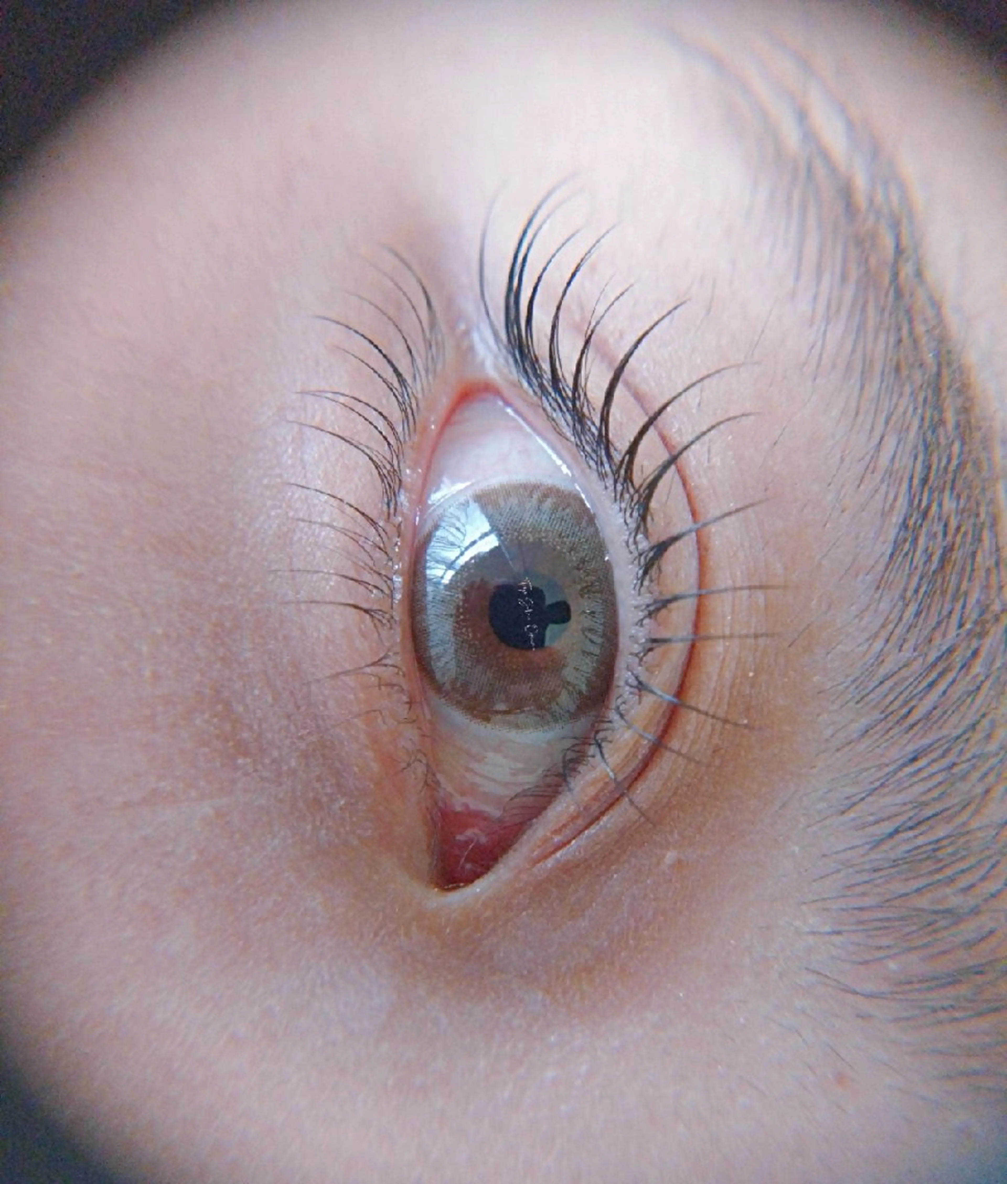 マツエク・マツパ 下まつげエクステ 一重×まつ毛パーマ Trip Salon Okuma所属・❤LEDまつぱ❤那覇 🅿️有、泉崎のマツエク・マツパデザイン