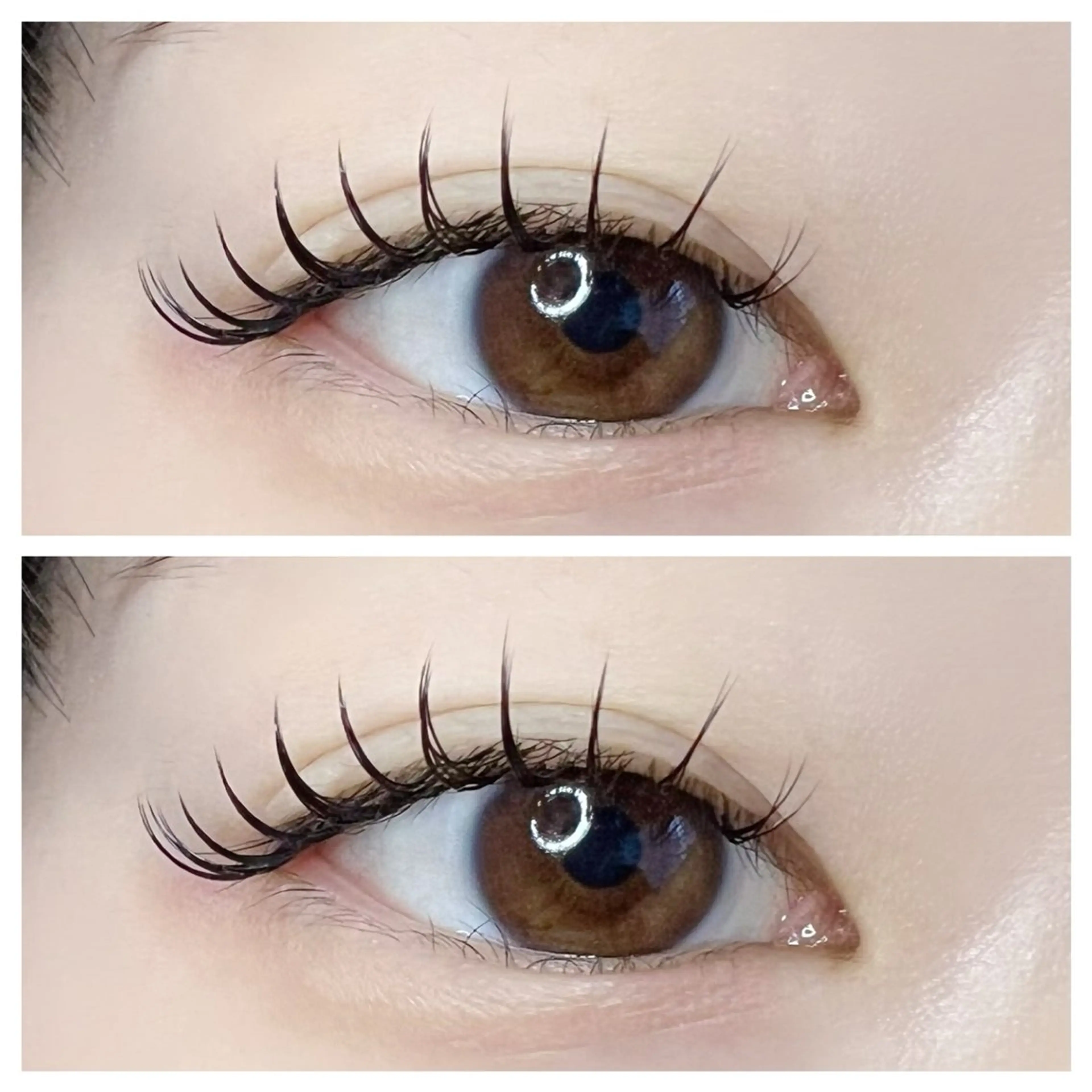 マツエク・マツパ セーブル eyelash plan api所属・【plan】 kaoriのマツエク・マツパデザイン