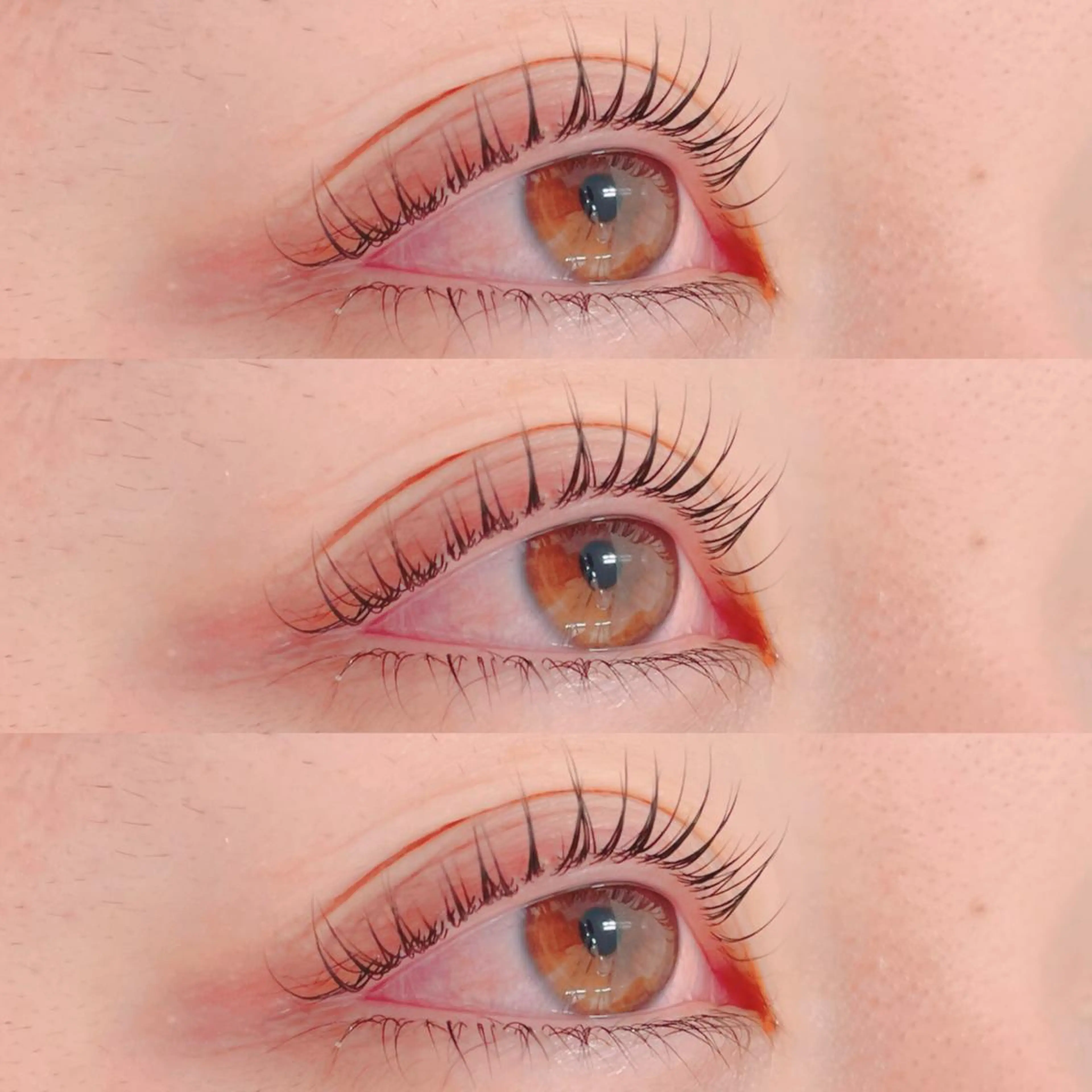 ご新規様限定！本日限定【minimo限定価格】パリジェンヌまたはラッシュリフト（まつ毛パーマ）の写真