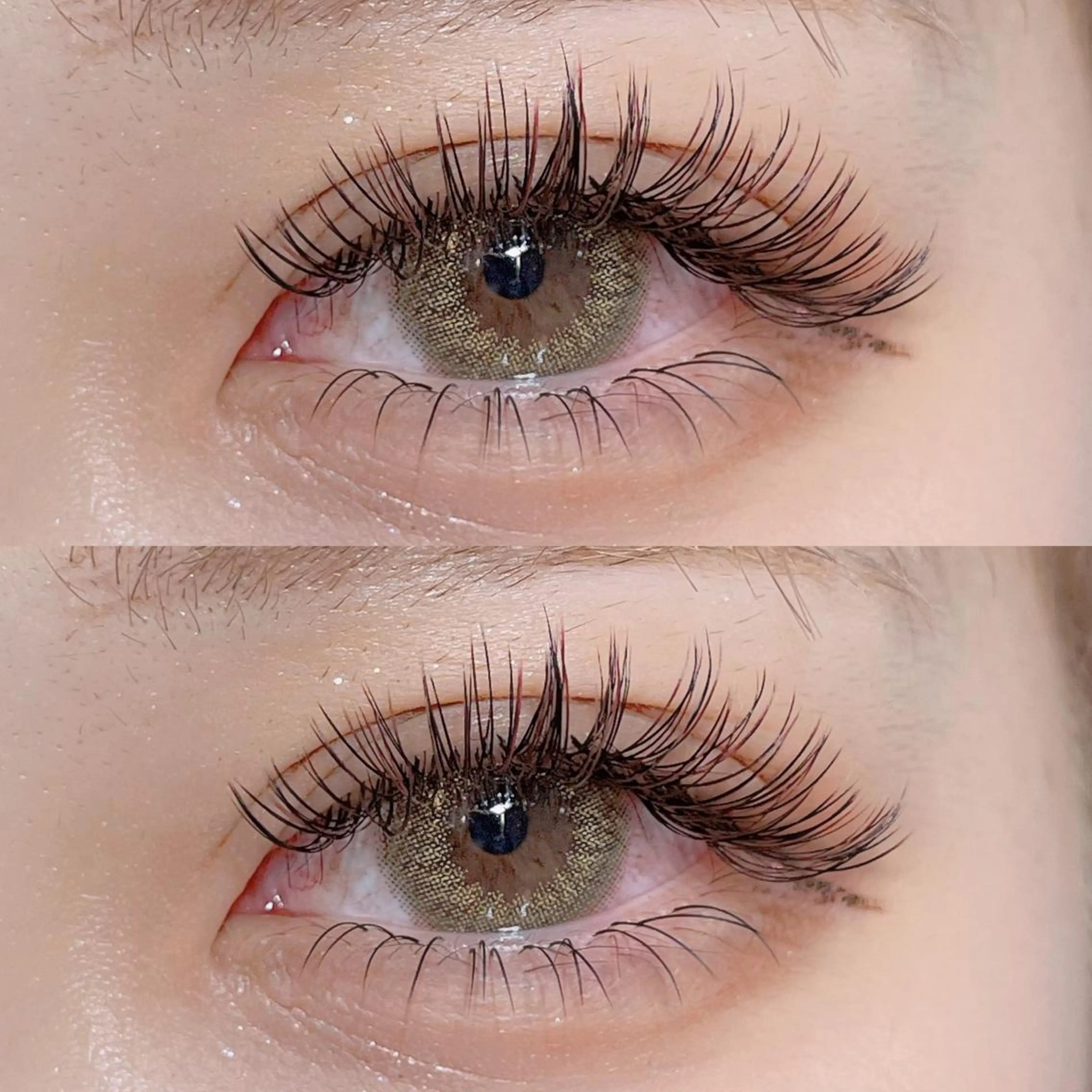 バインドロック80束🌼少ない本数で持ち・ボリュームが欲しい方に🎶の写真