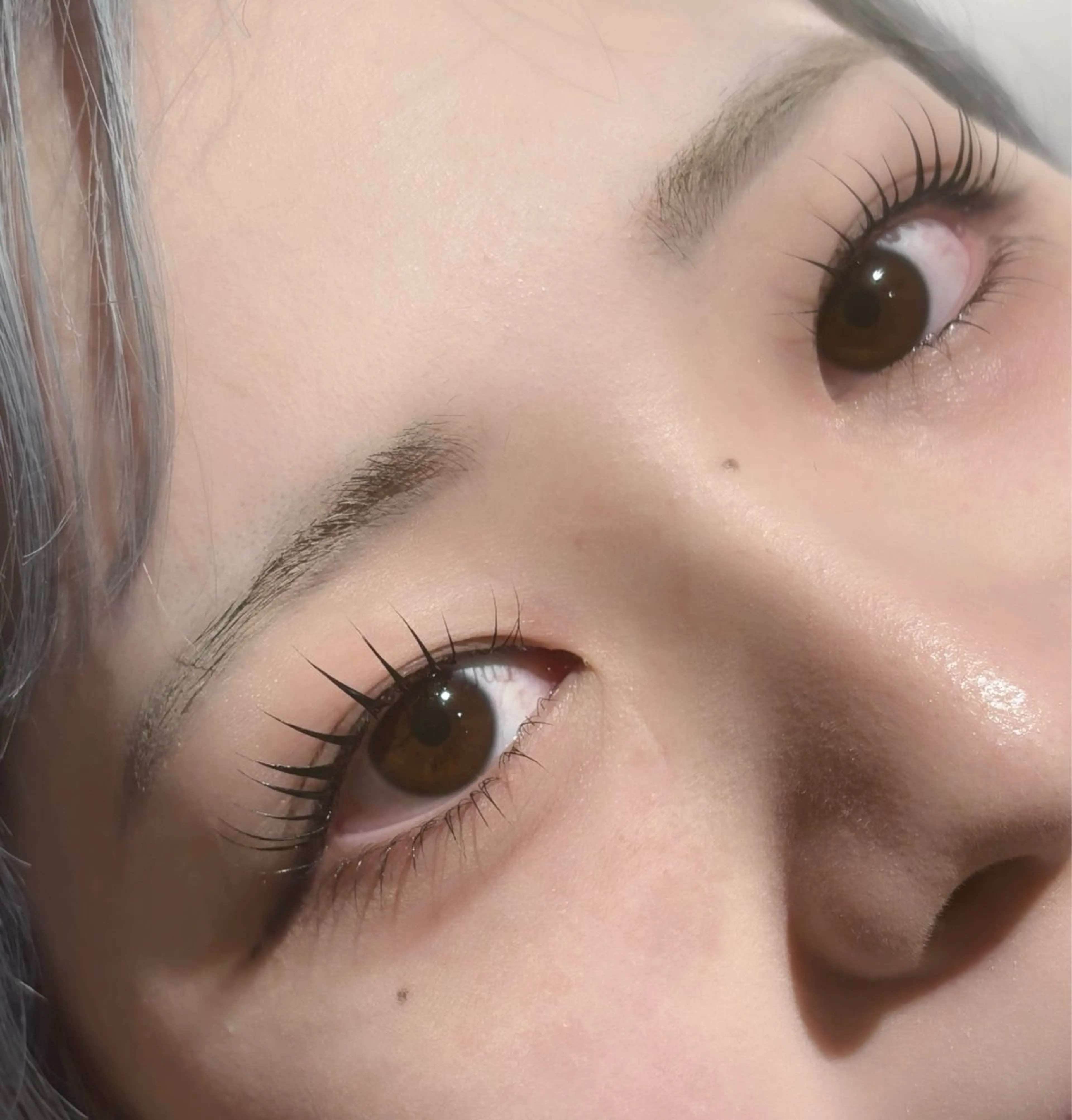 minimo価格🦋パリジェンヌラッシュリフト🦋の写真