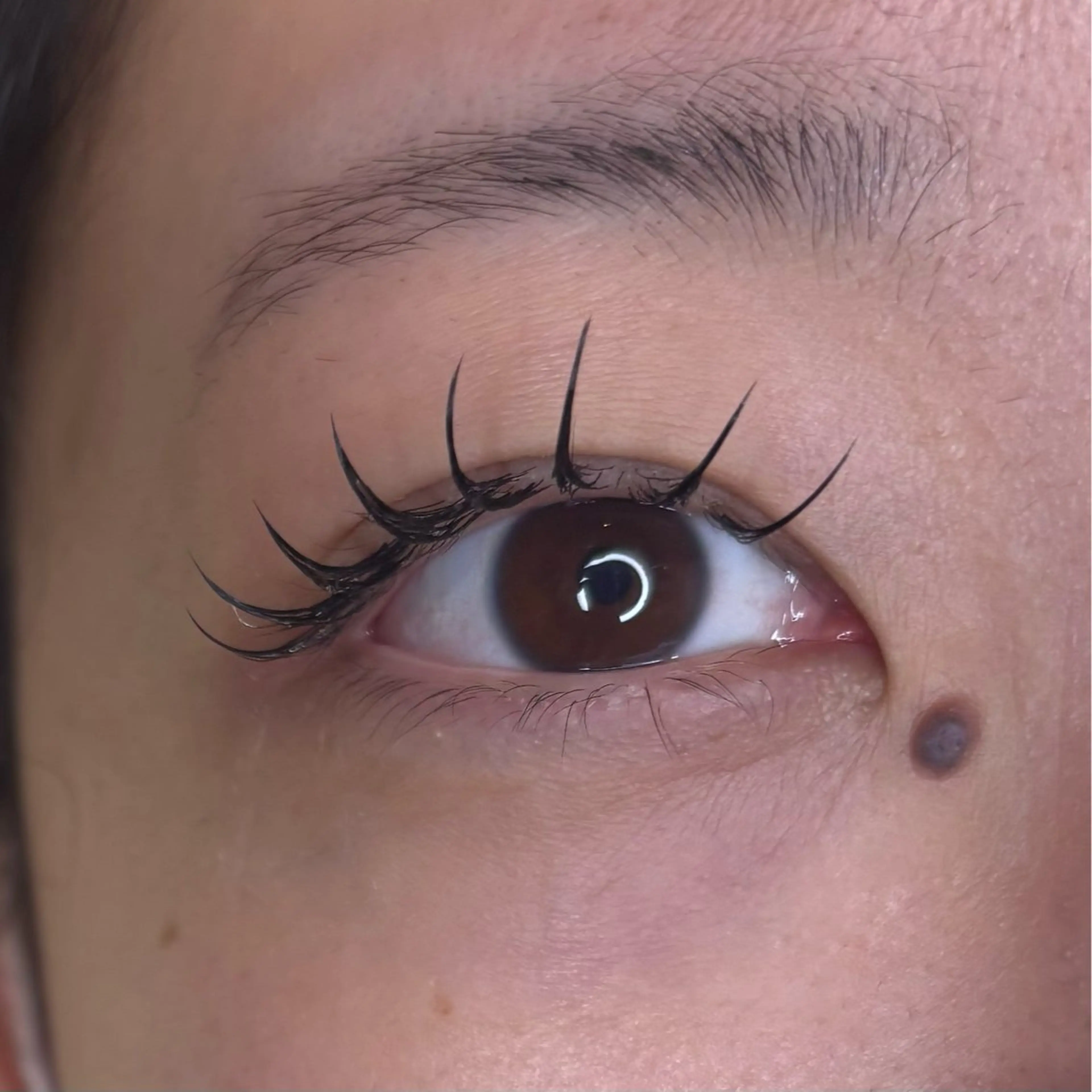 💫［当日限定］束感デザイン120本(オフ込み)💫の写真