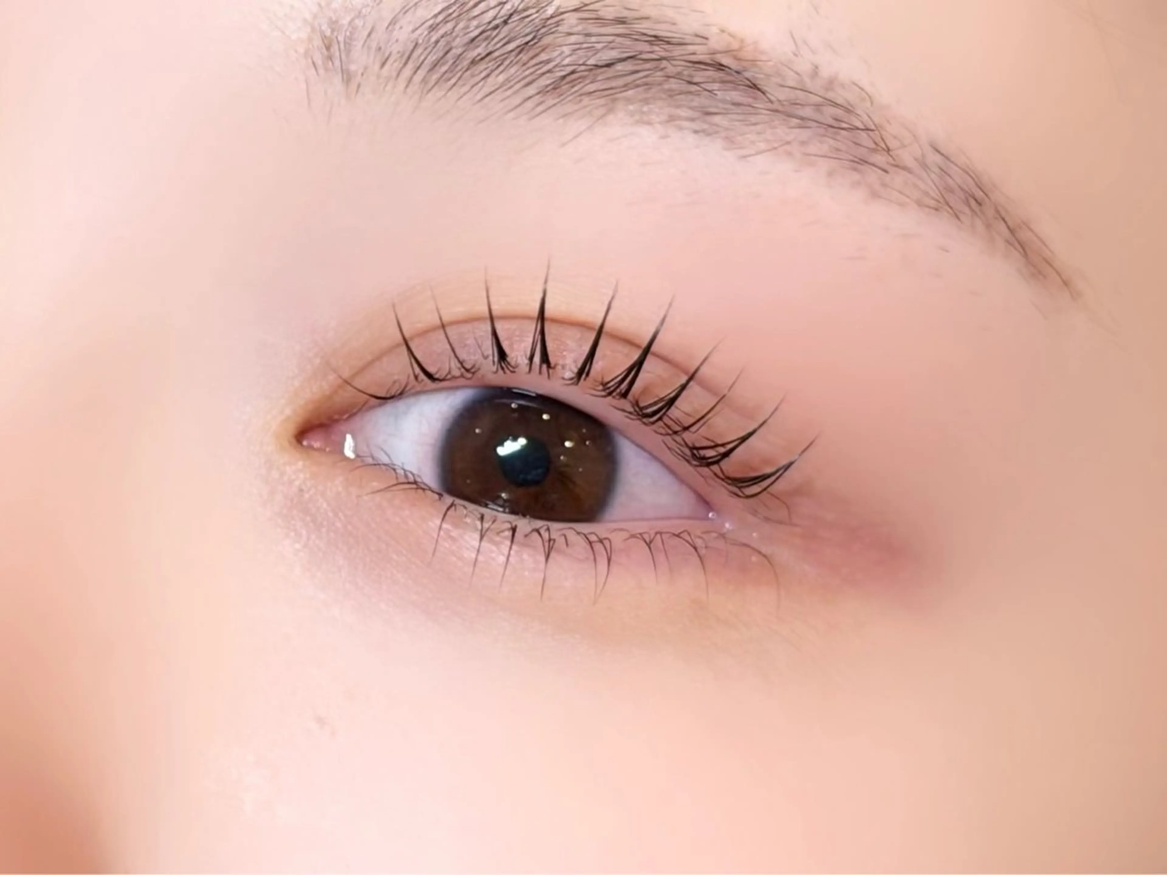 マツエク・マツパ マツパ coyuki💛 eight池袋のマツエク・マツパデザイン