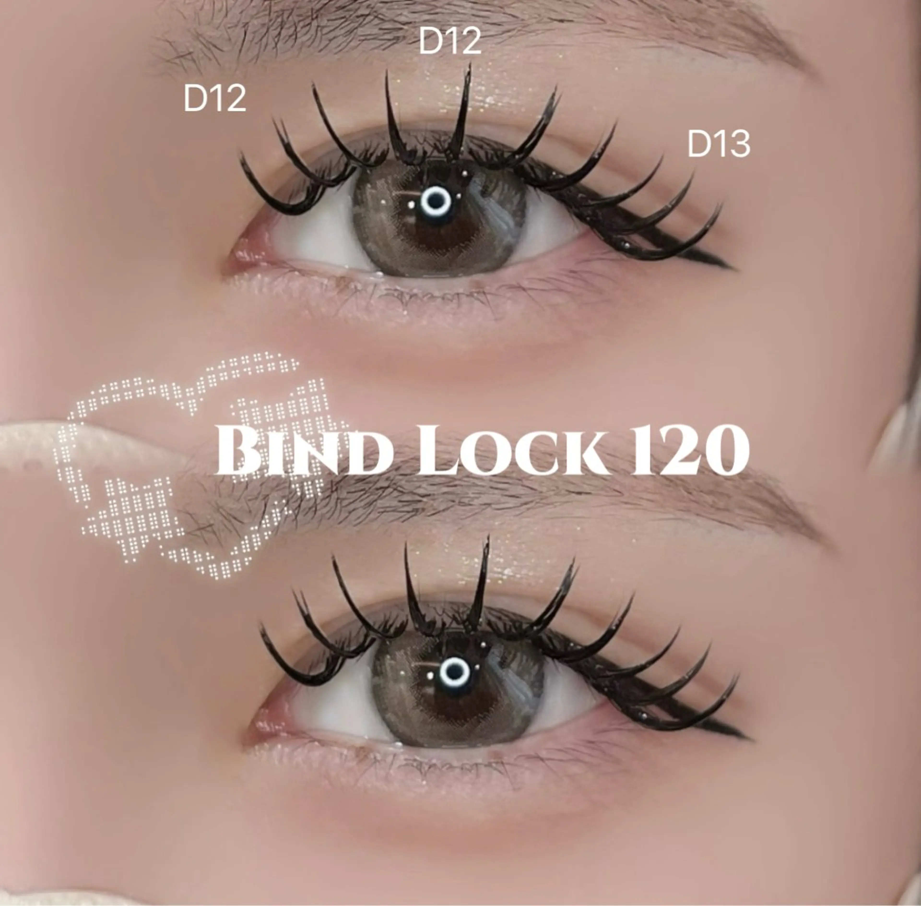 💫もち抜群💫バインドロック60束(再来+330円)の写真