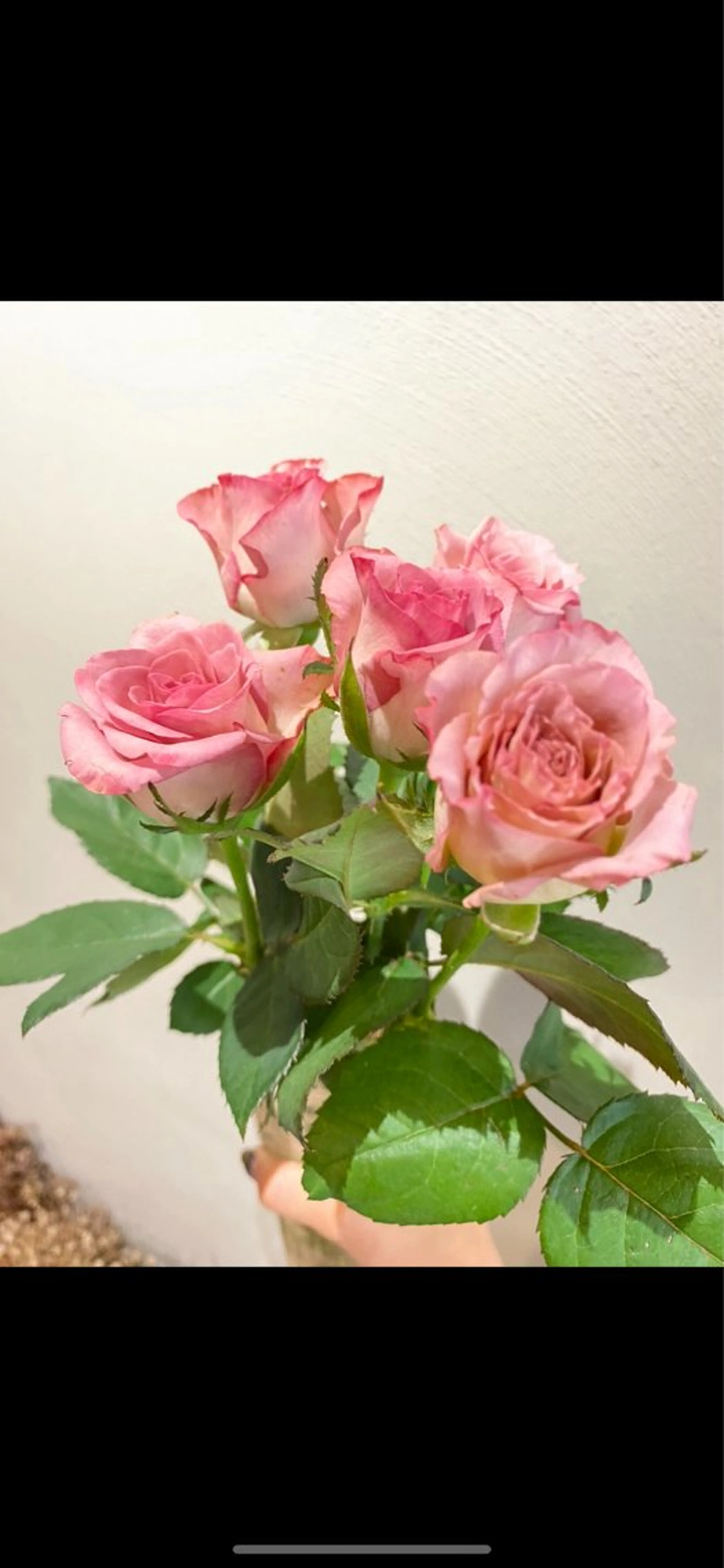 カット ヘアカラー トリートメント erika /韓国ヘアのヘアスタイル