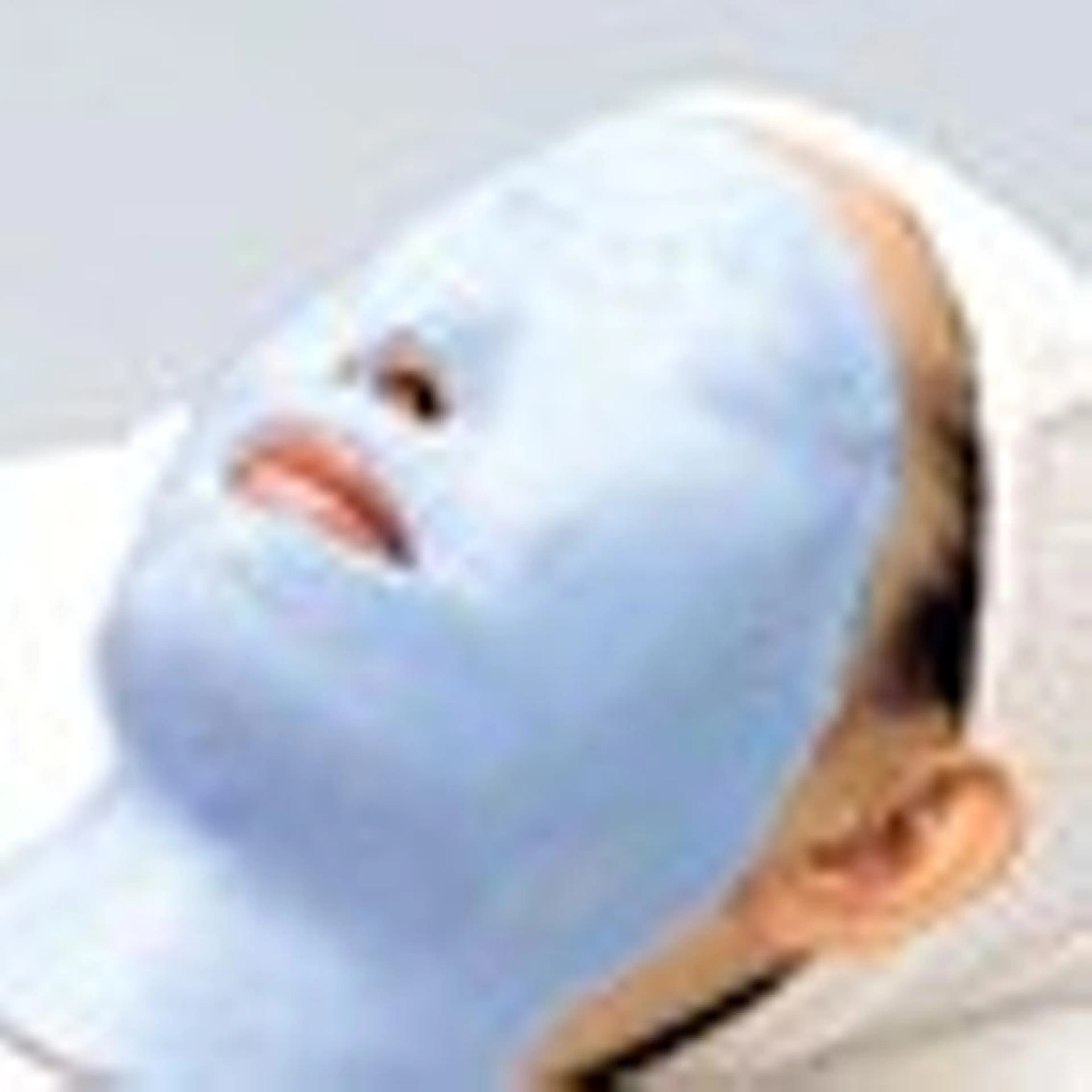 norra シノブのエステ・リラクイメージ