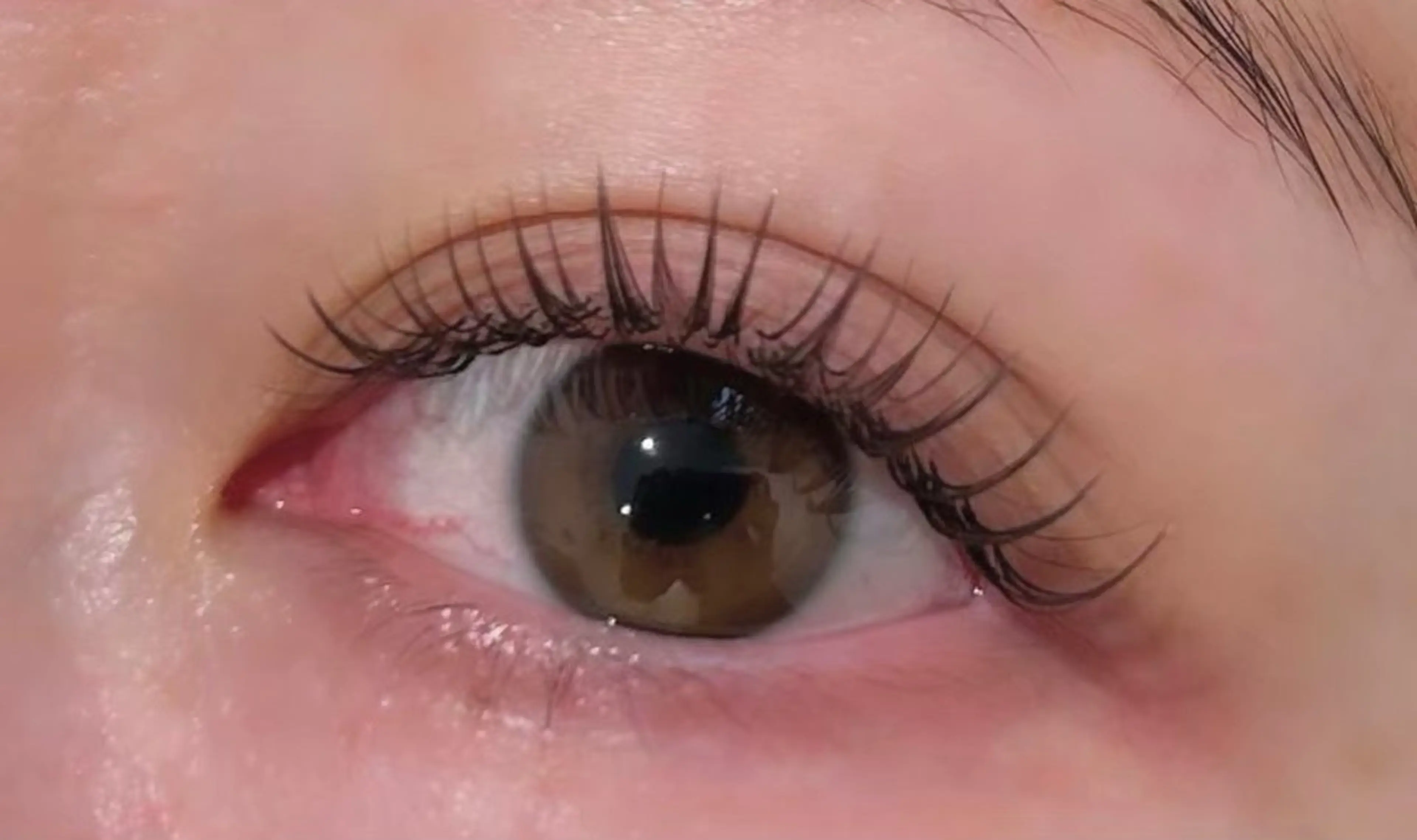 マツエク・マツパ 𓂃 SAORI𓂃のマツエク・マツパデザイン