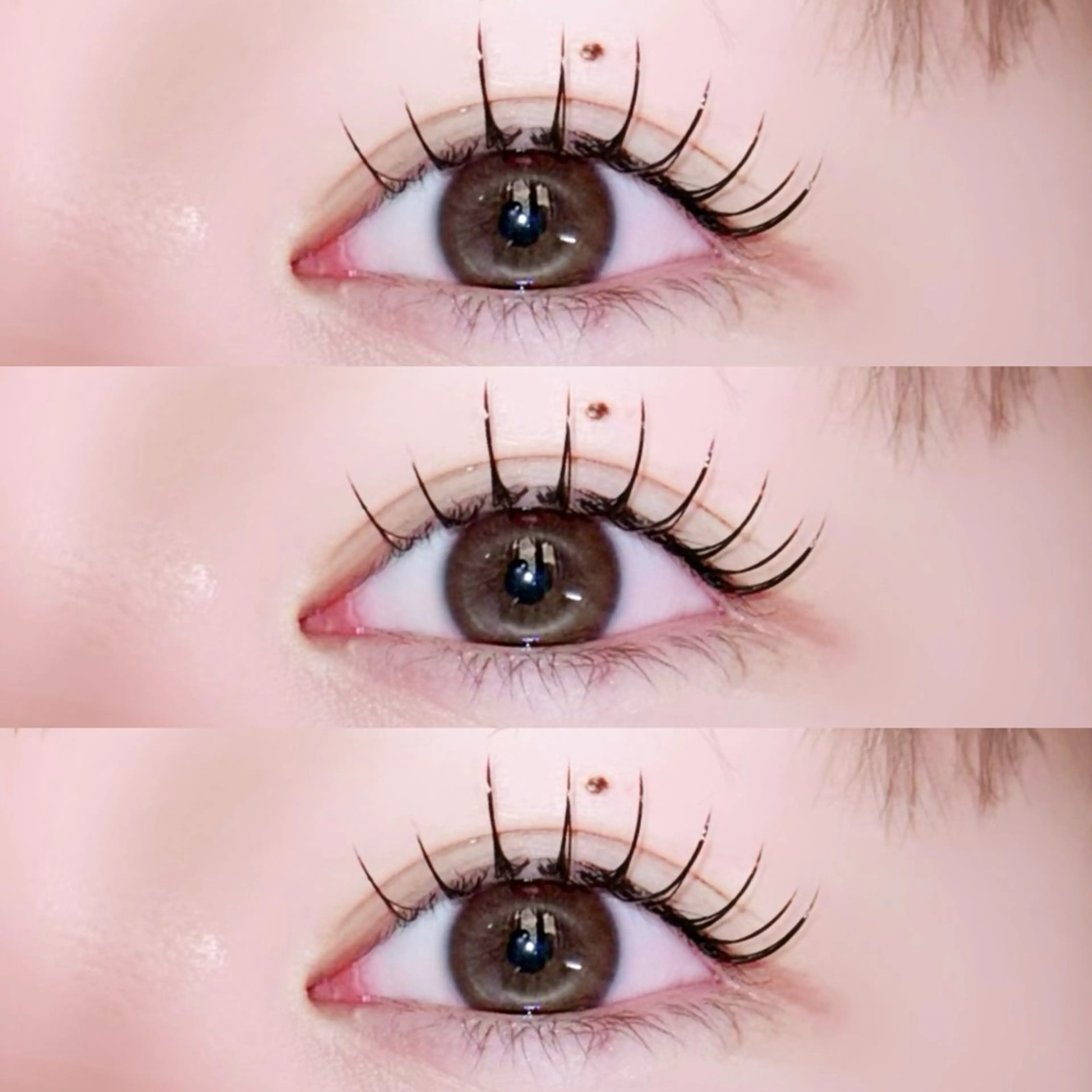 【✨半額キャンペーン✨】LED×フラットラッシュ120本💖持ち🆙束感コーティング付き🎀の写真