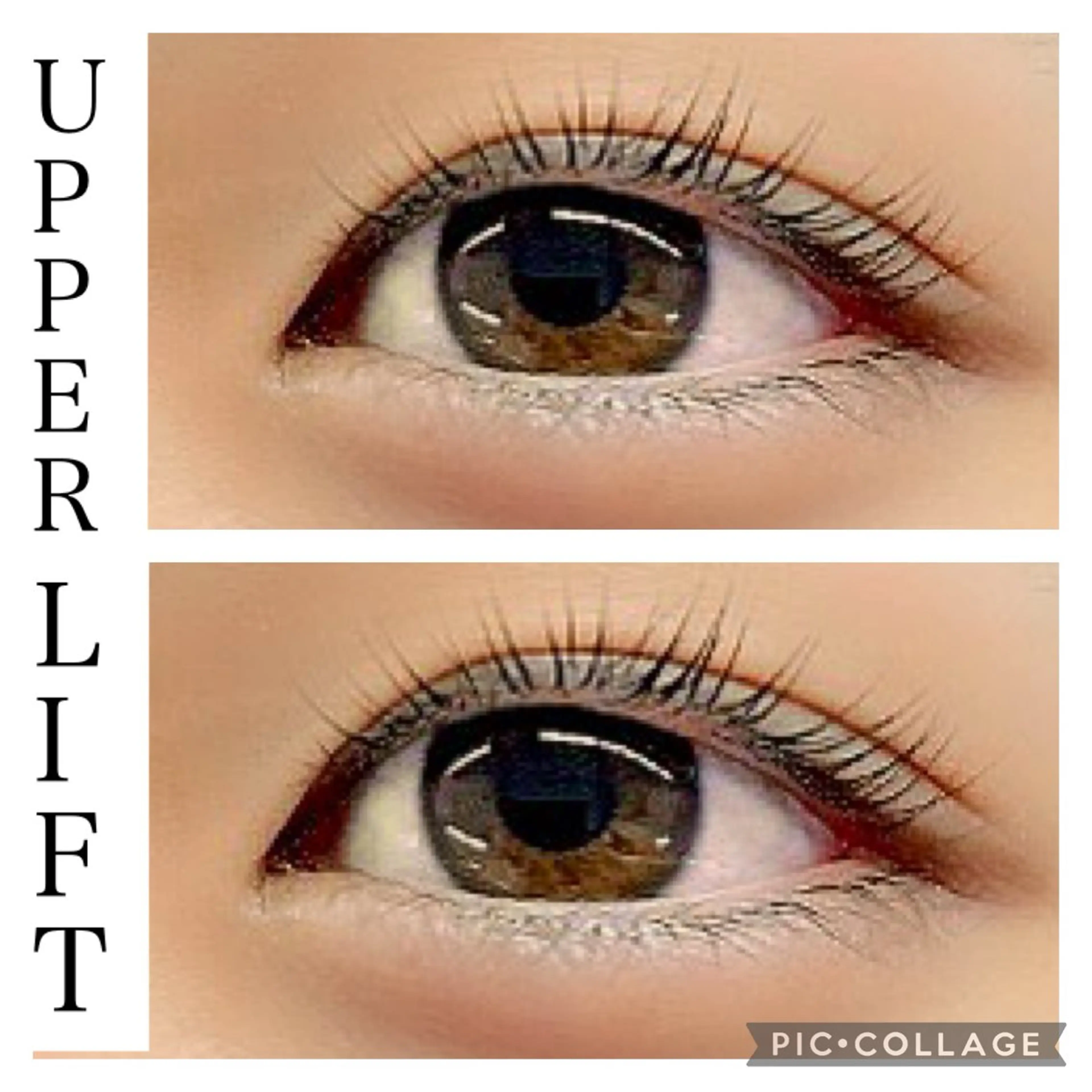 🤍🎀誕生月クーポン🎀🤍次世代まつげパーマ30%off！コーティング仕上げ✨️の写真