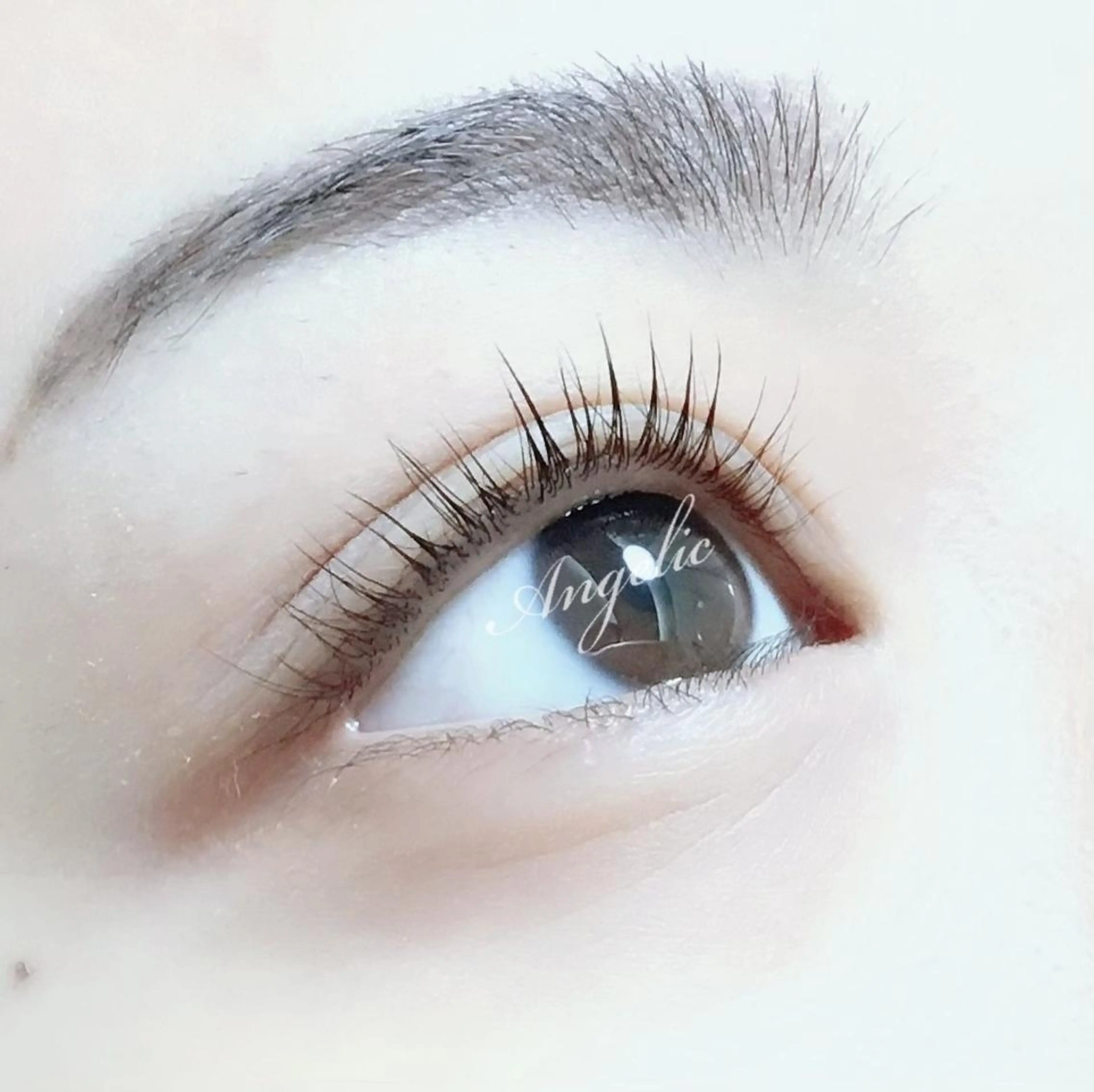 ケラチンラッシュリフト上のみ+アイブロウワックス🌟無料モデル⚠120分の写真