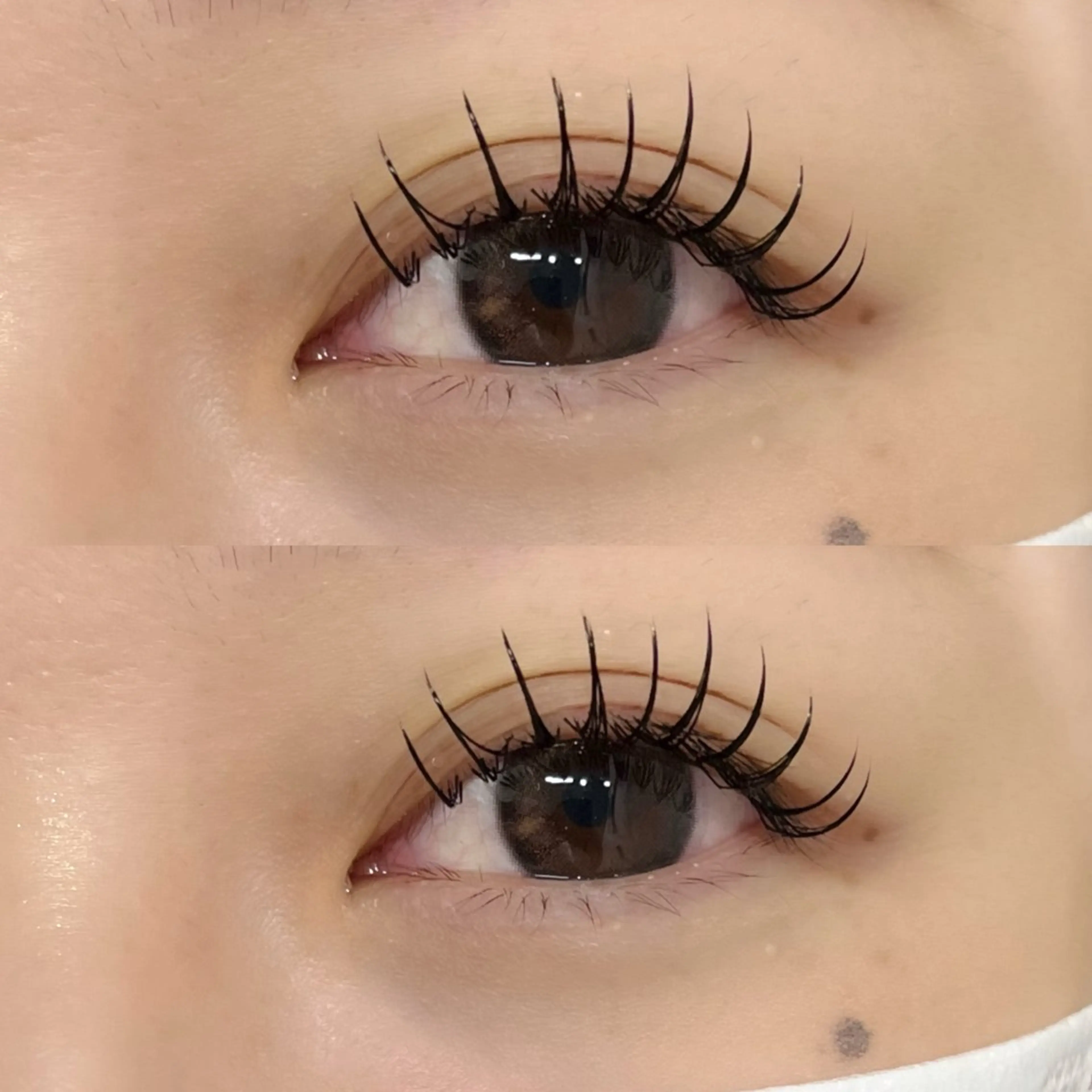 LEDフラット120本🌻(コーティング付)の写真