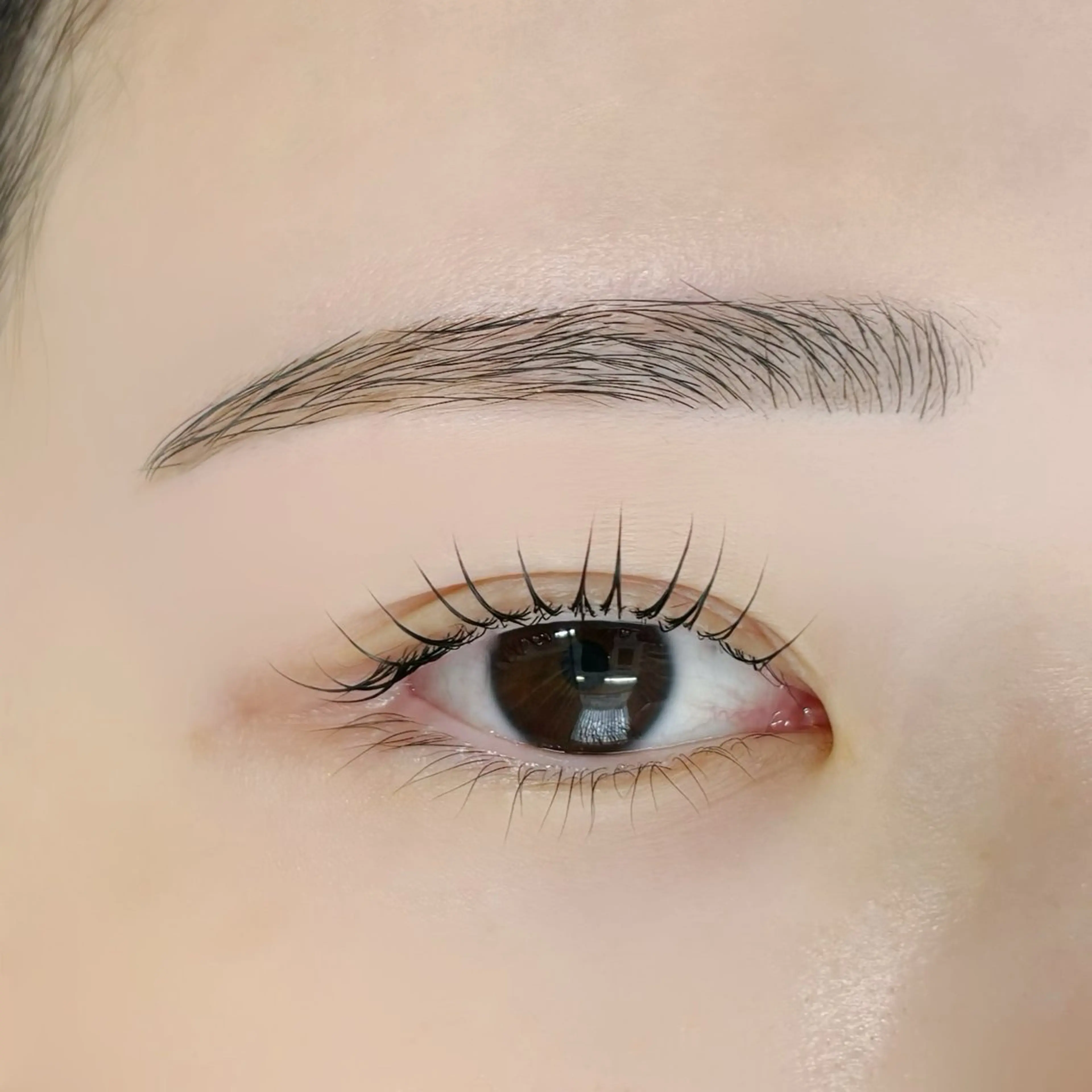 【ご新規様限定人気No.2】HBL(ハリウッドブロウリフト)+まつ毛パーマorパリジェンヌ🍀の写真