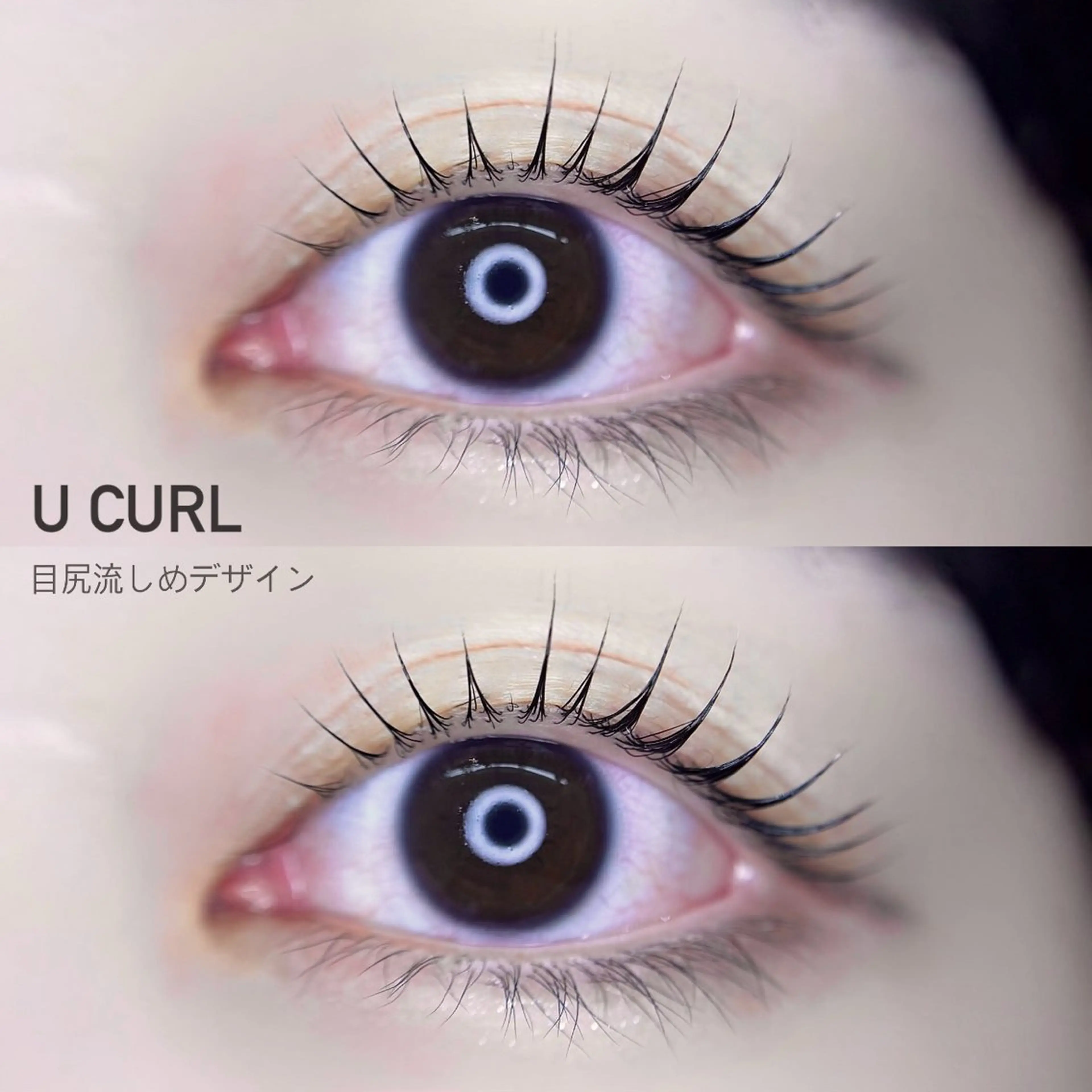 マツエク・マツパ arce -ｱﾙｾ- 🔅ヒマワリのマツエク・マツパデザイン