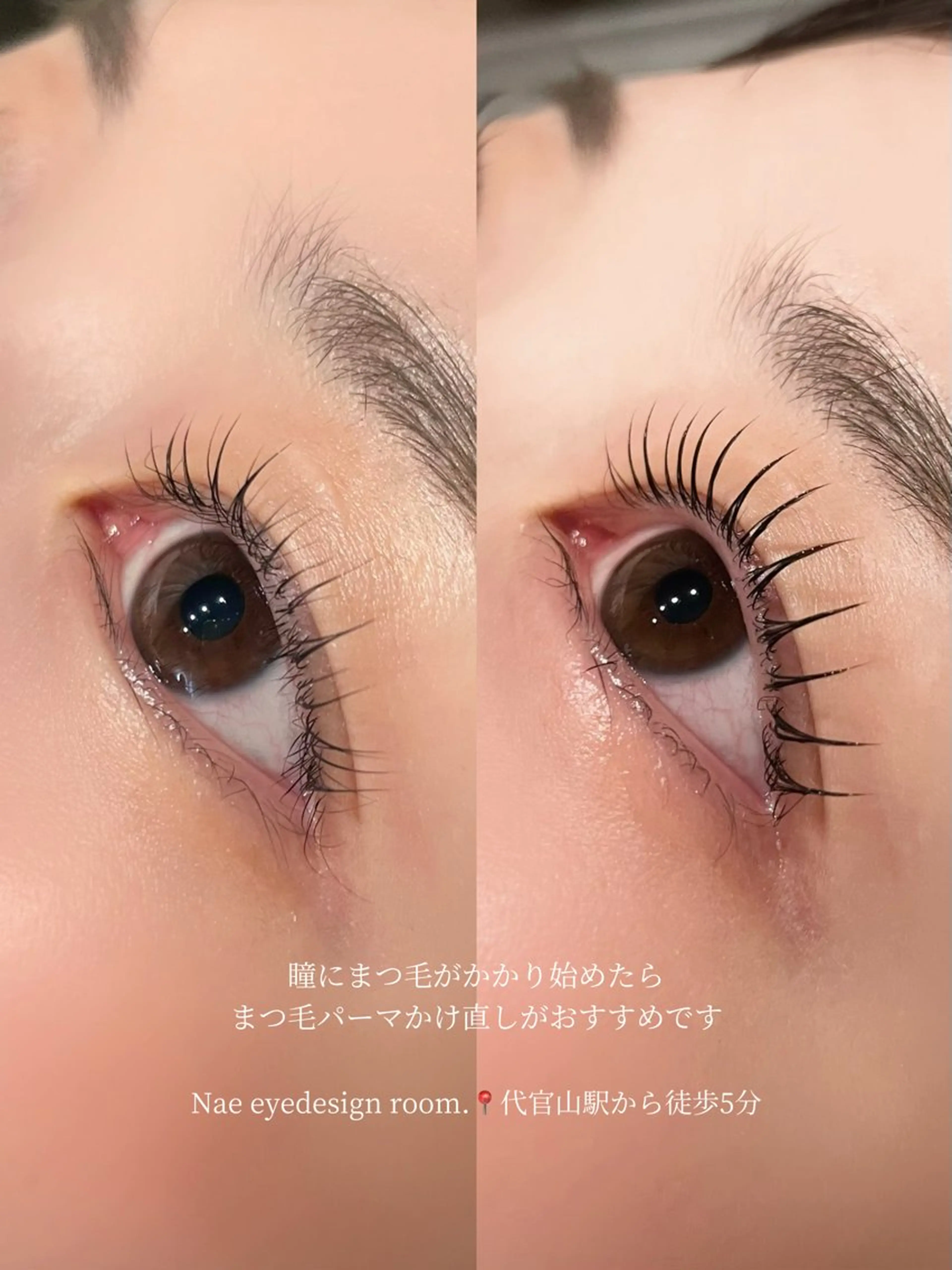 【特別価格✨】まつ毛パーマ¥3500【美容液コーティング込み】の写真