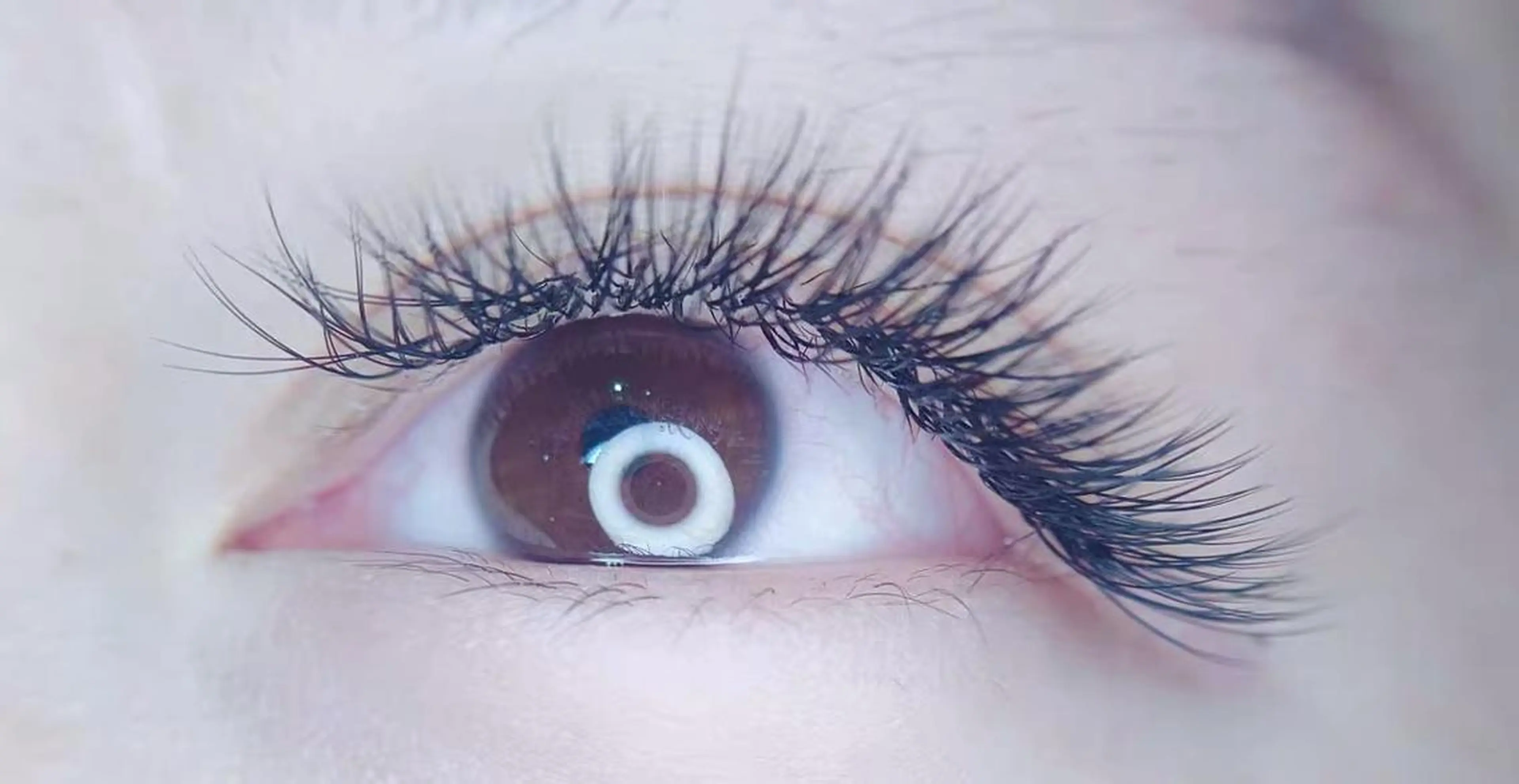 マツエク・マツパ Cute B e au t yのマツエク・マツパデザイン