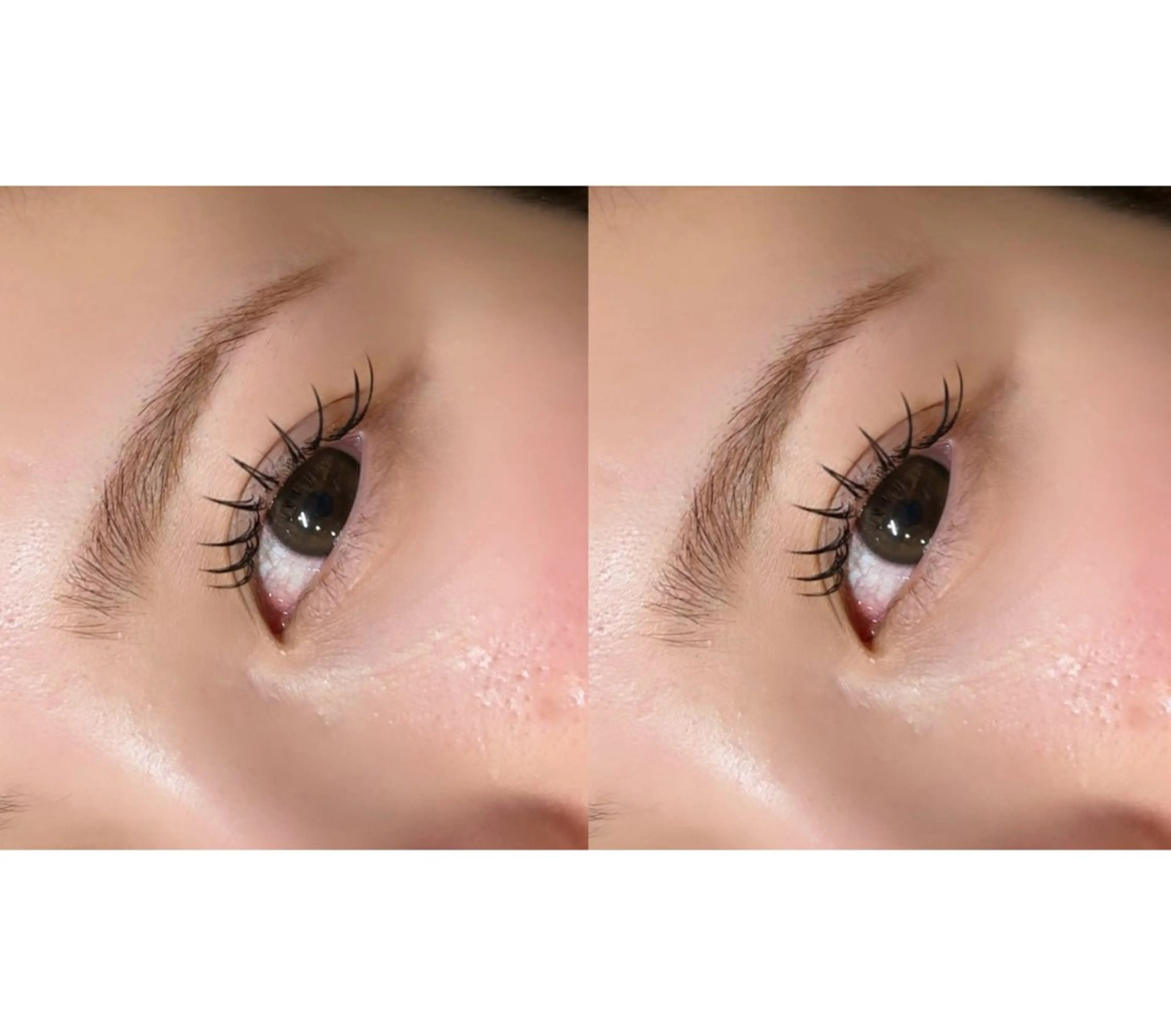 LEDマツエク🫧🫧の写真