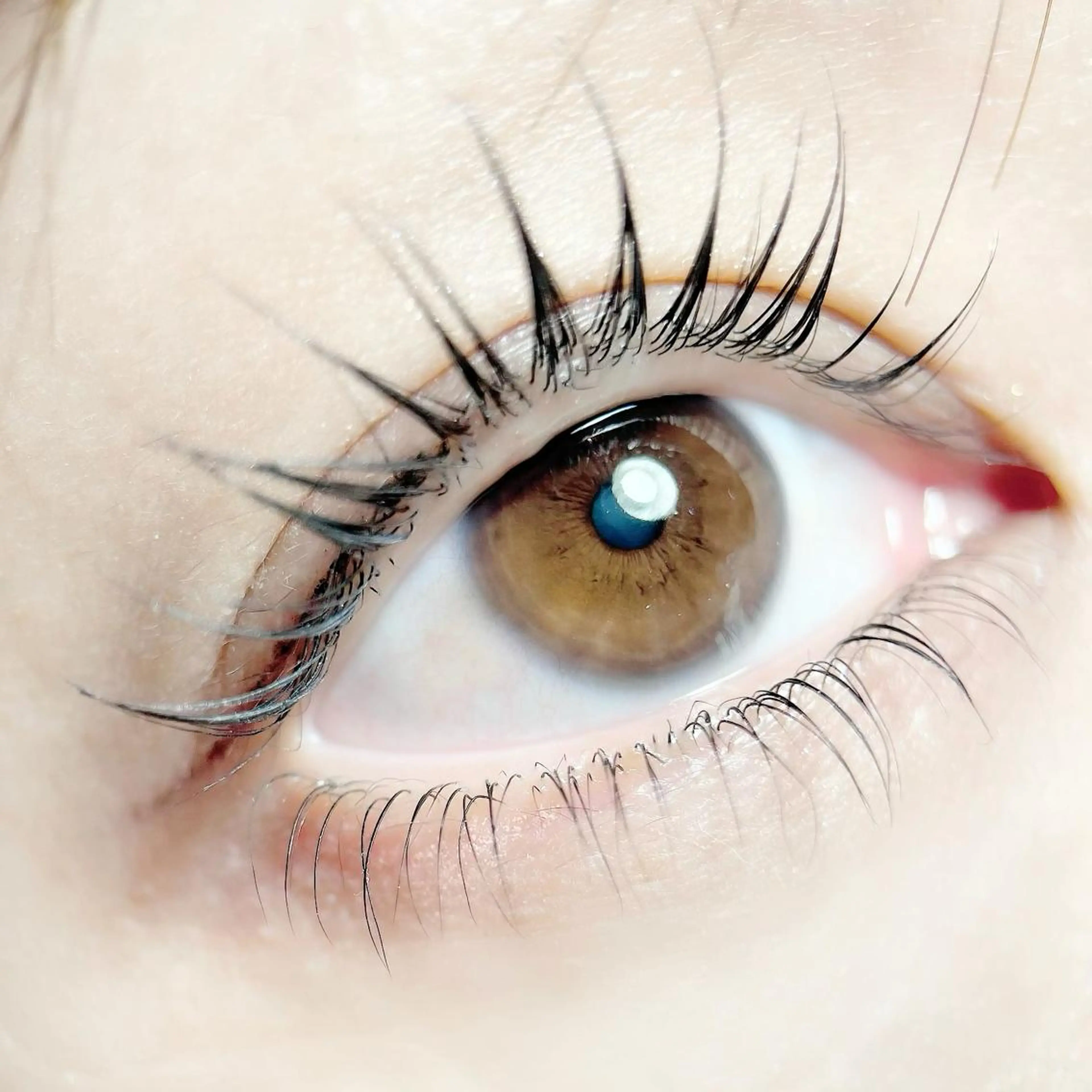 《上まつげパーマ》逆まつげ矯正パーマ⭐︎お悩みの方必見！！白目スッキリ✨小顔効果もあり🧡パリジェンヌ/まつげパーマの写真