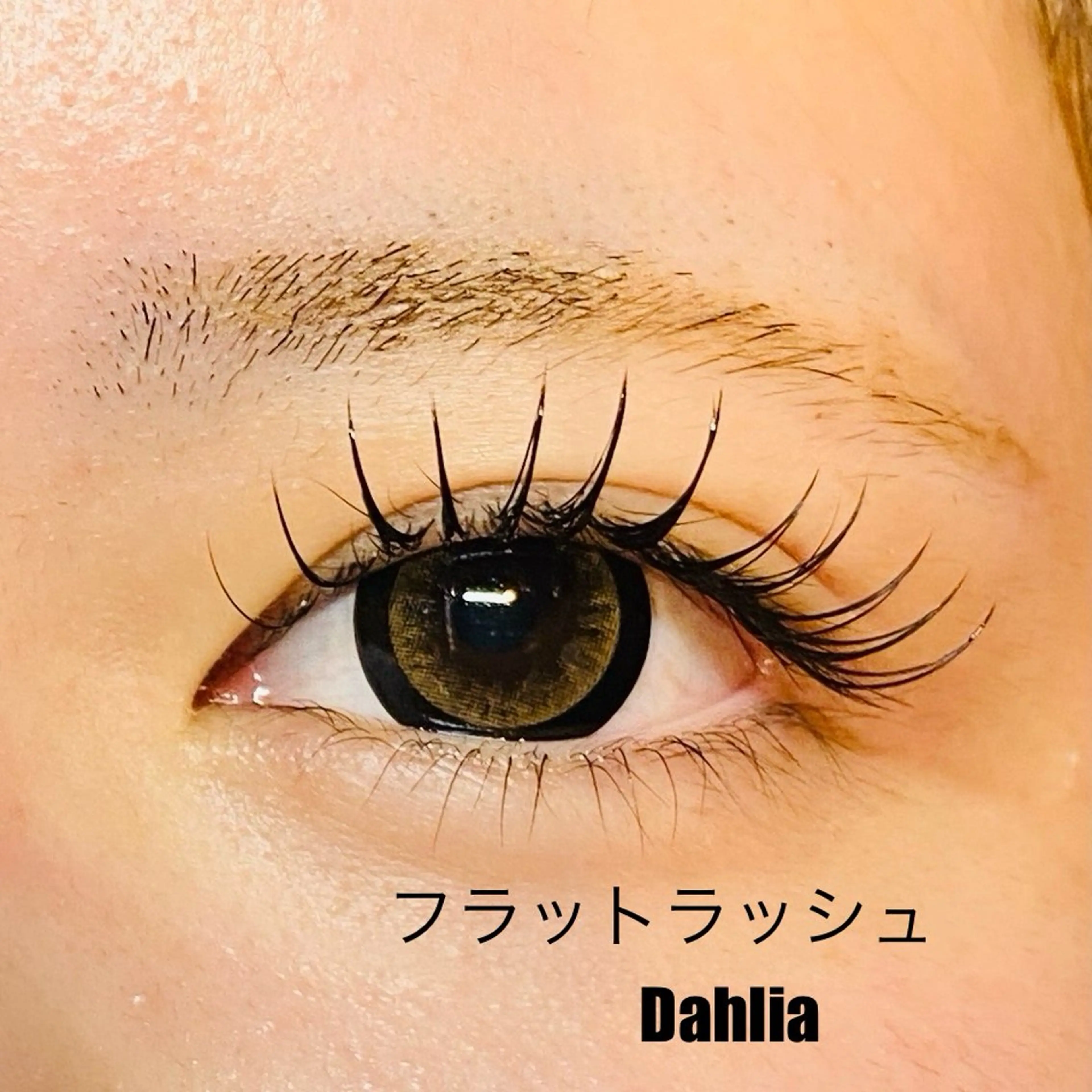 フラットラッシュつけ放題の写真