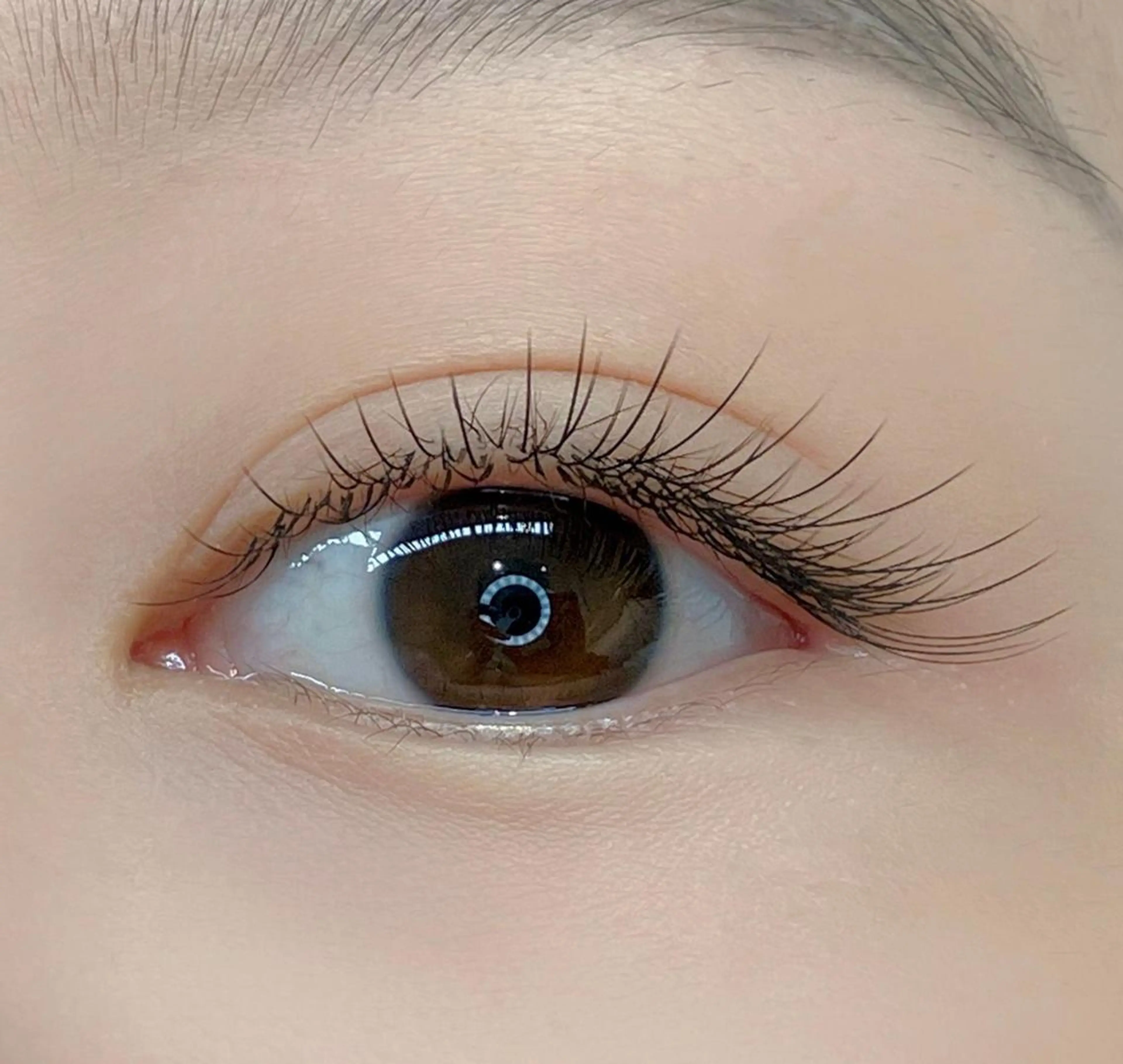 【フラットラッシュ】上まつげ90本（コーディング剤+アイシャンプー）の写真