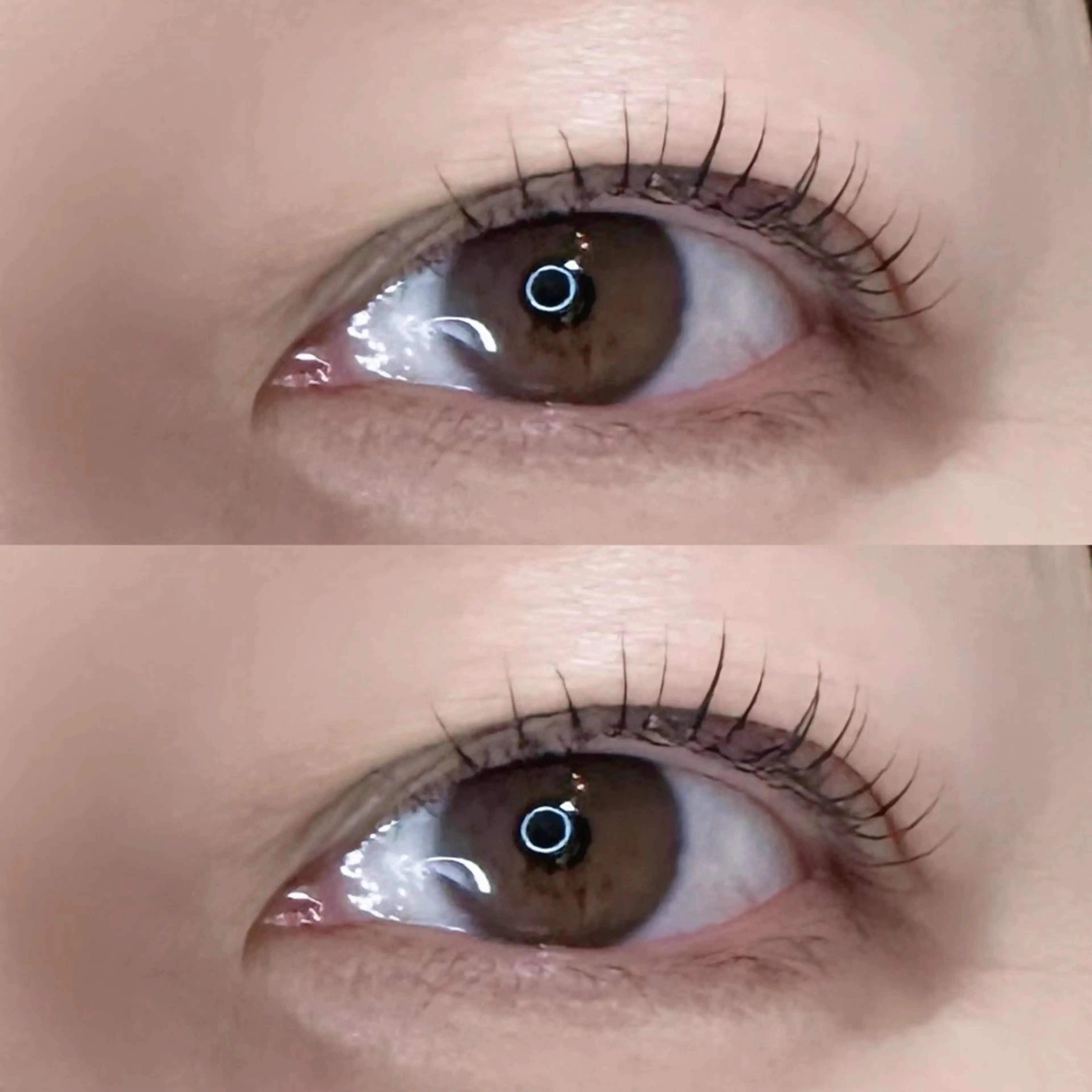 マツエク・マツパ mio🕊 銀座eyelistのマツエク・マツパデザイン