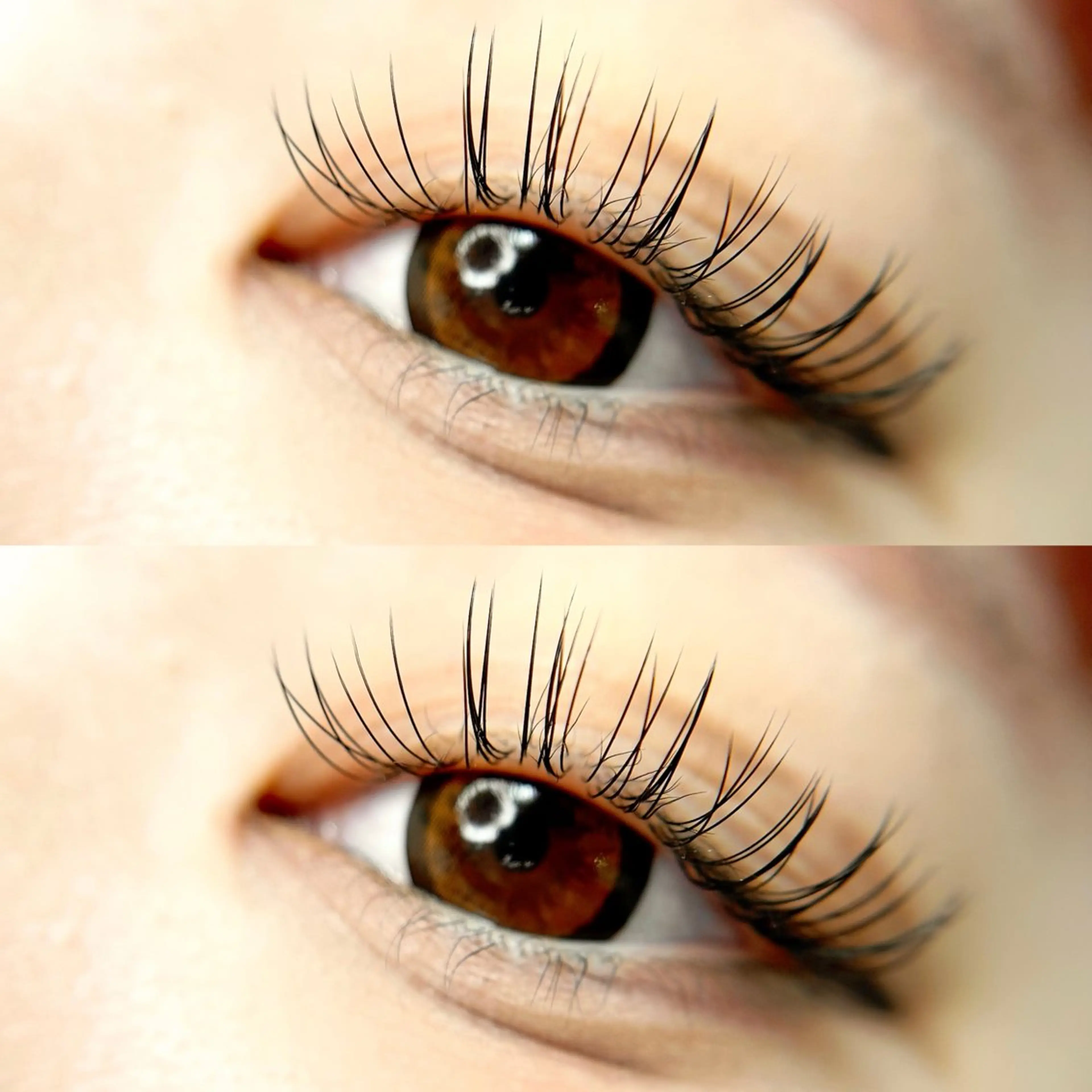 マツエク・マツパ peTiT京橋店🌷 yuiのマツエク・マツパデザイン