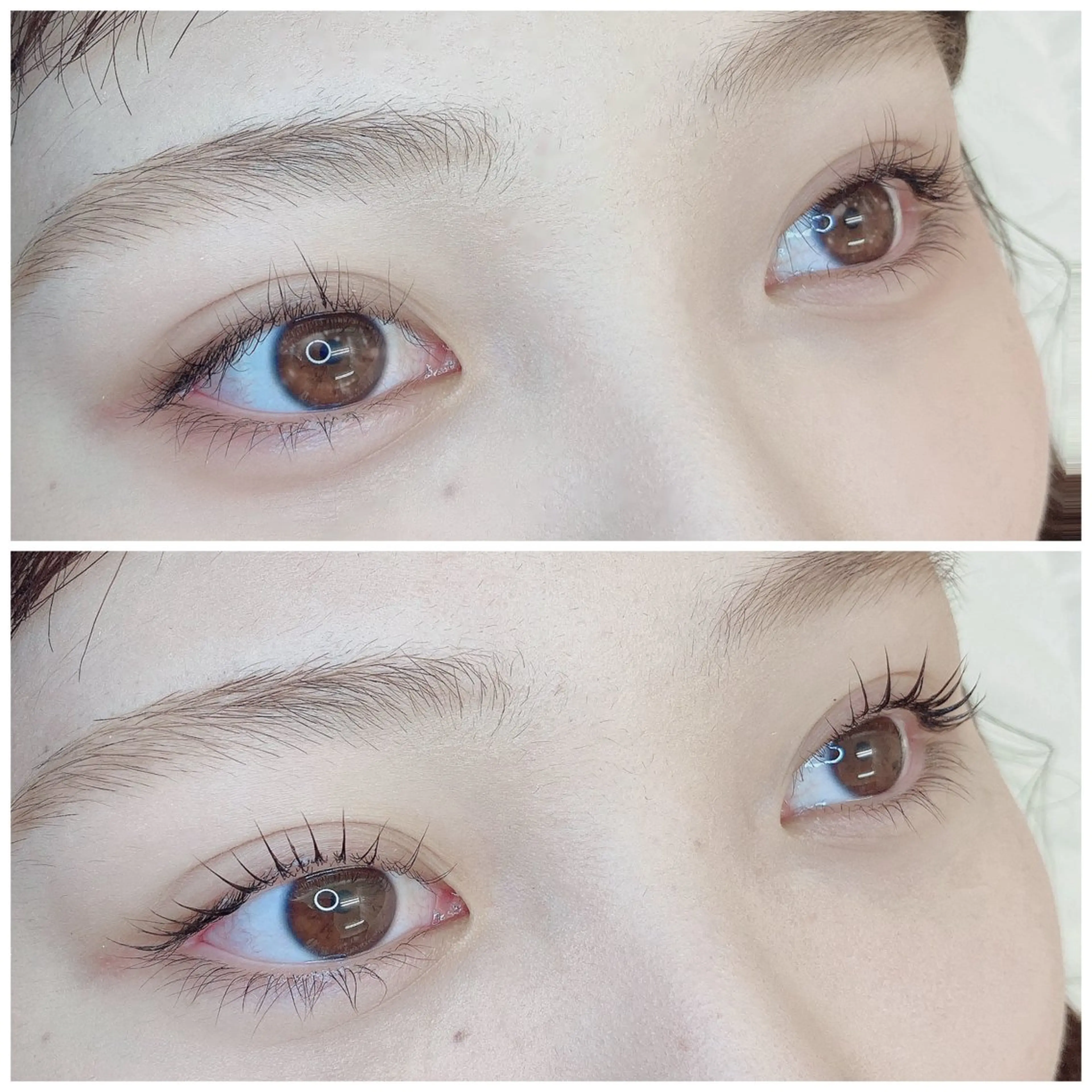 マツエク・マツパ TIARA池袋西口店 店長YASUKA💐のマツエク・マツパデザイン