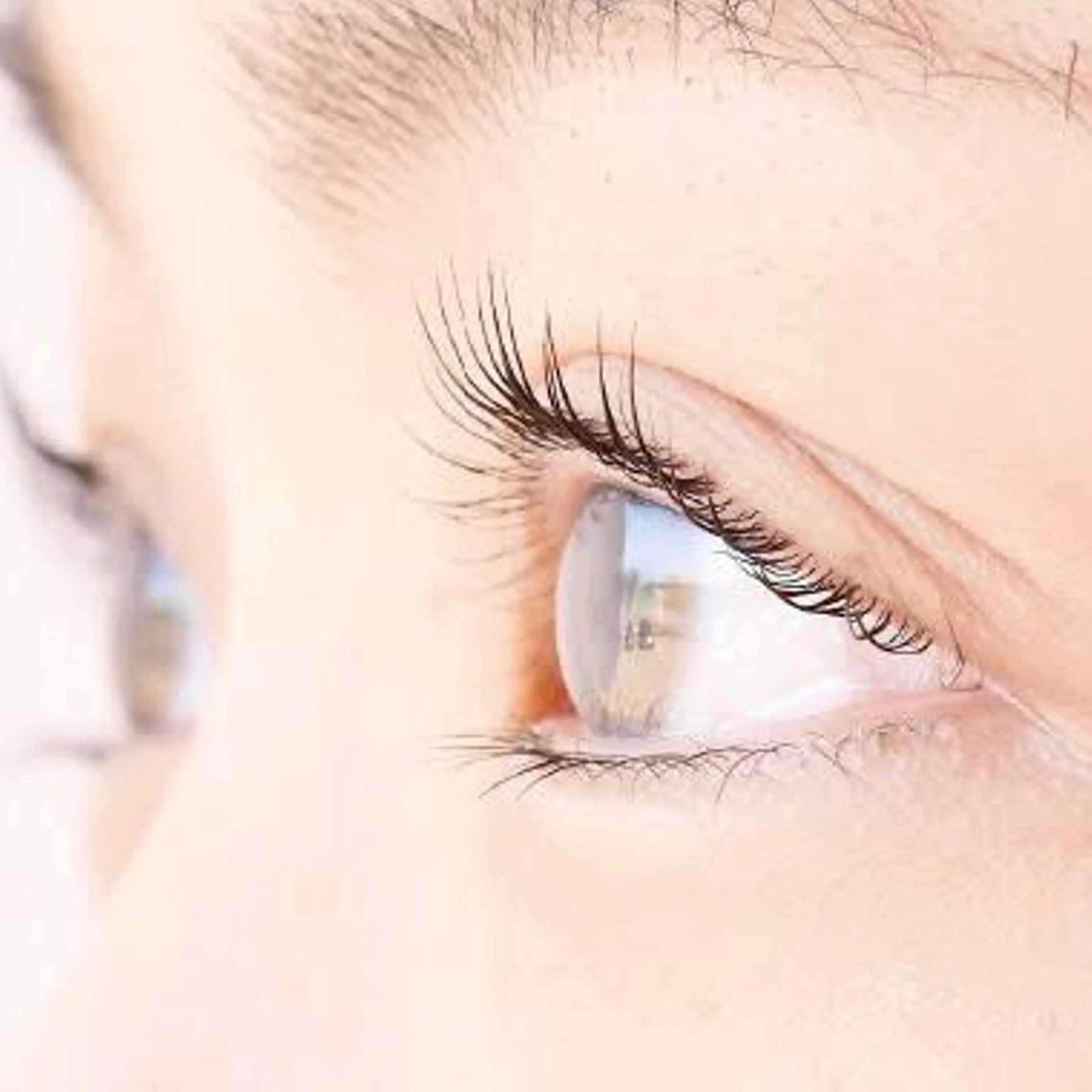 ラッシュリフト【モニター価格】の写真