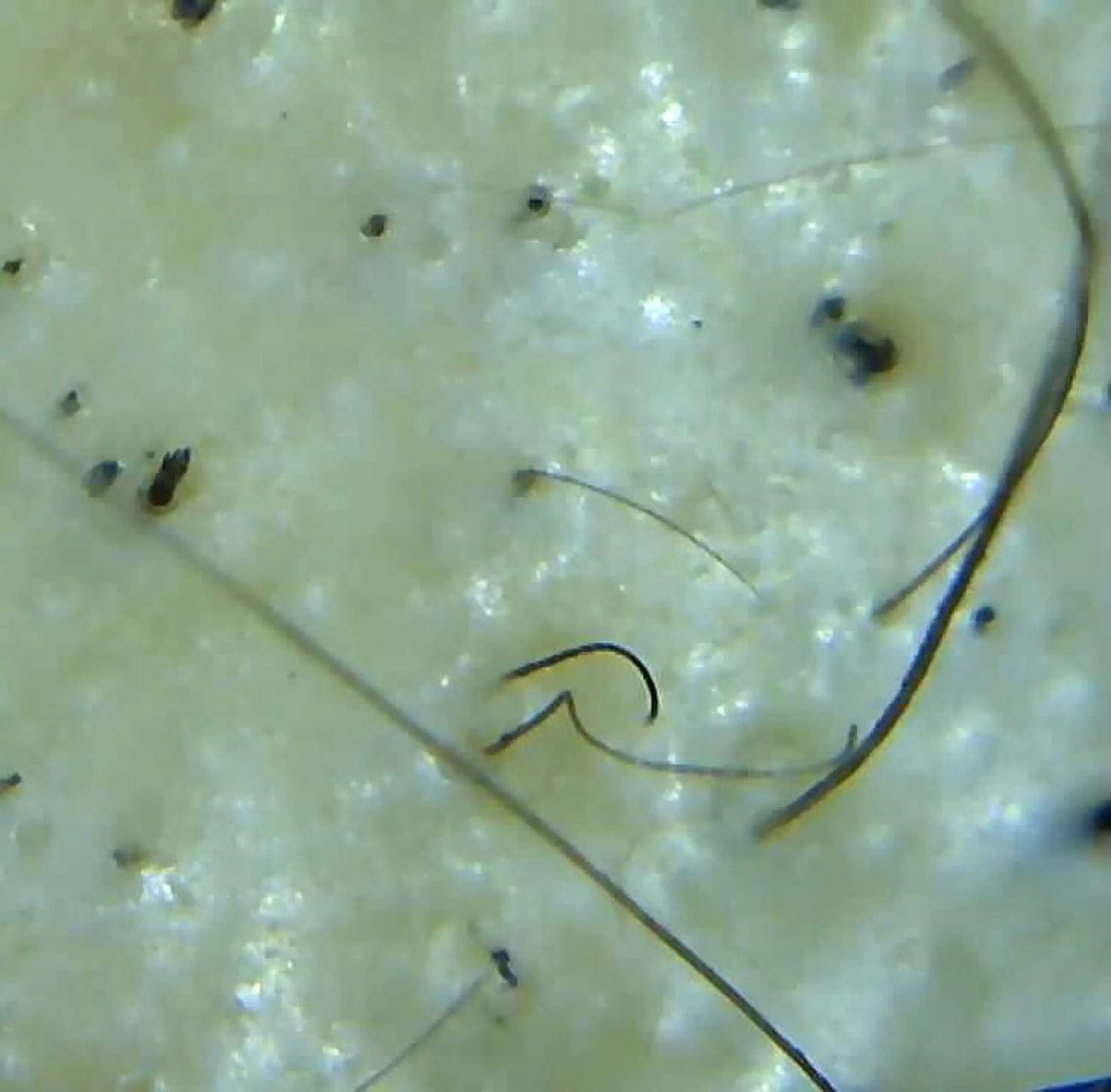 その他 セントラル鍼灸院 Re:laxyのヘアスタイル