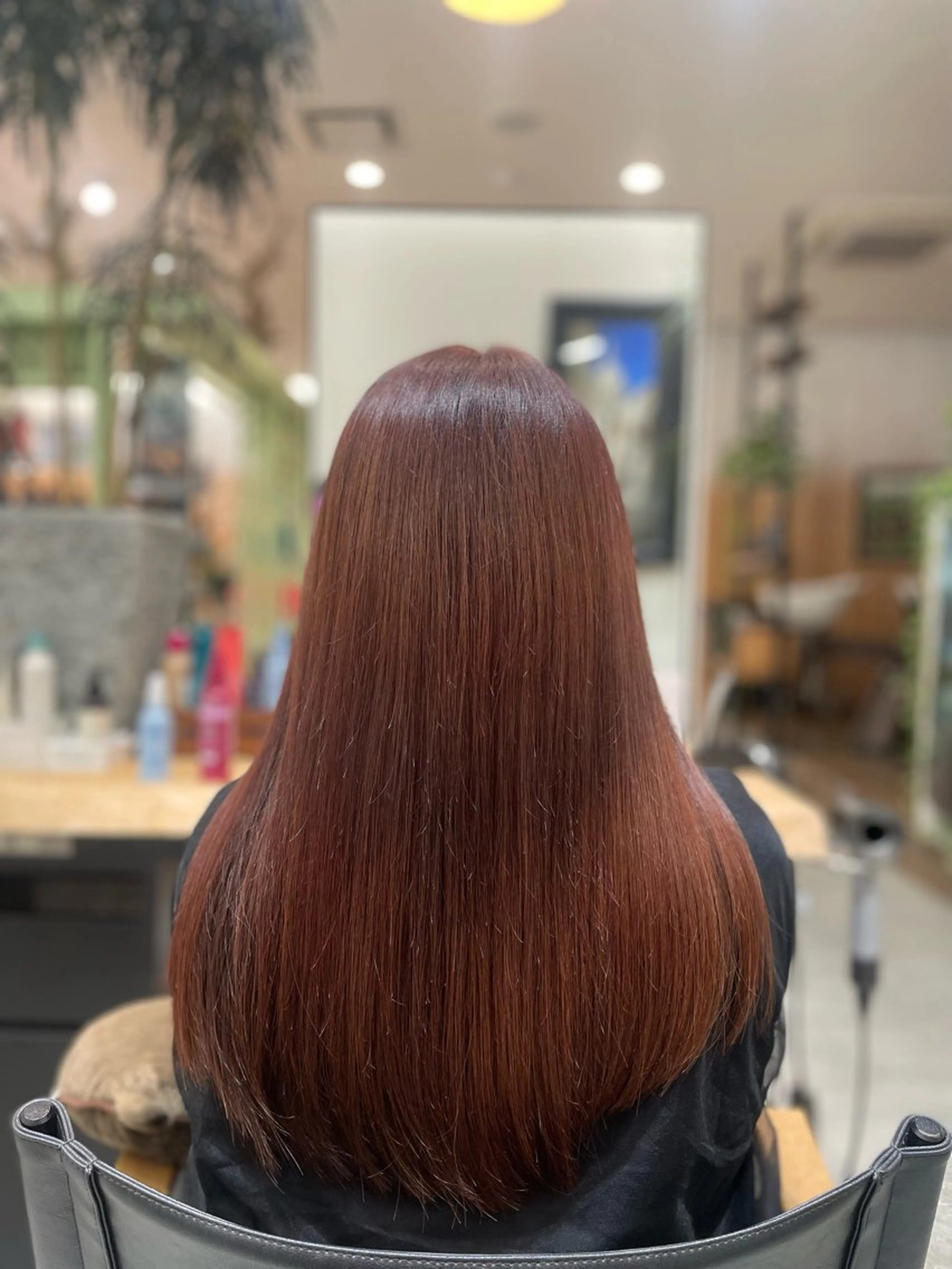 早期予約割AVEDAカラー(ブリーチ、白髪染め以外をお求めの方)の写真