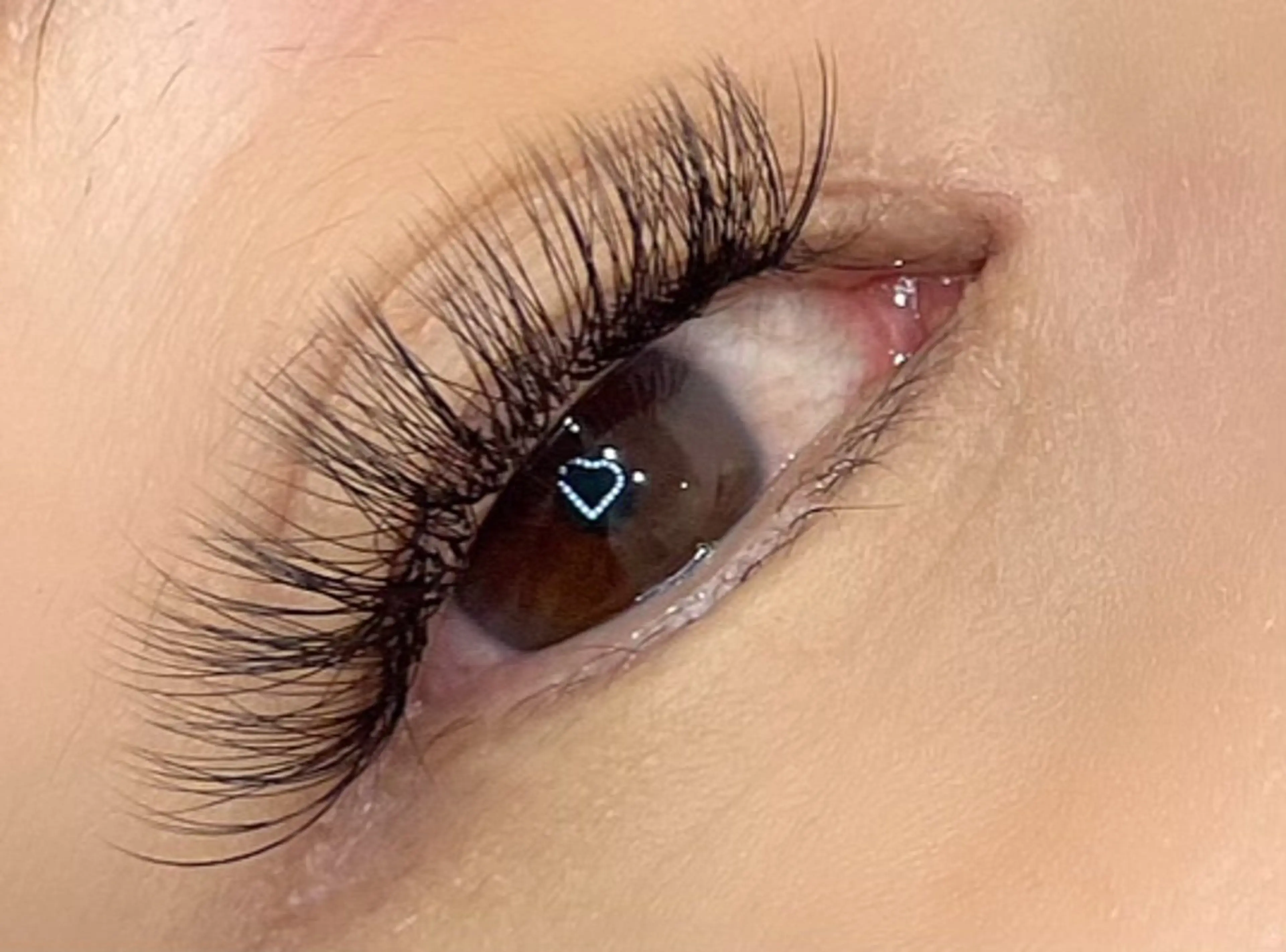 🌟ボリュームラッシュ 120束🌟 （約480本）の写真