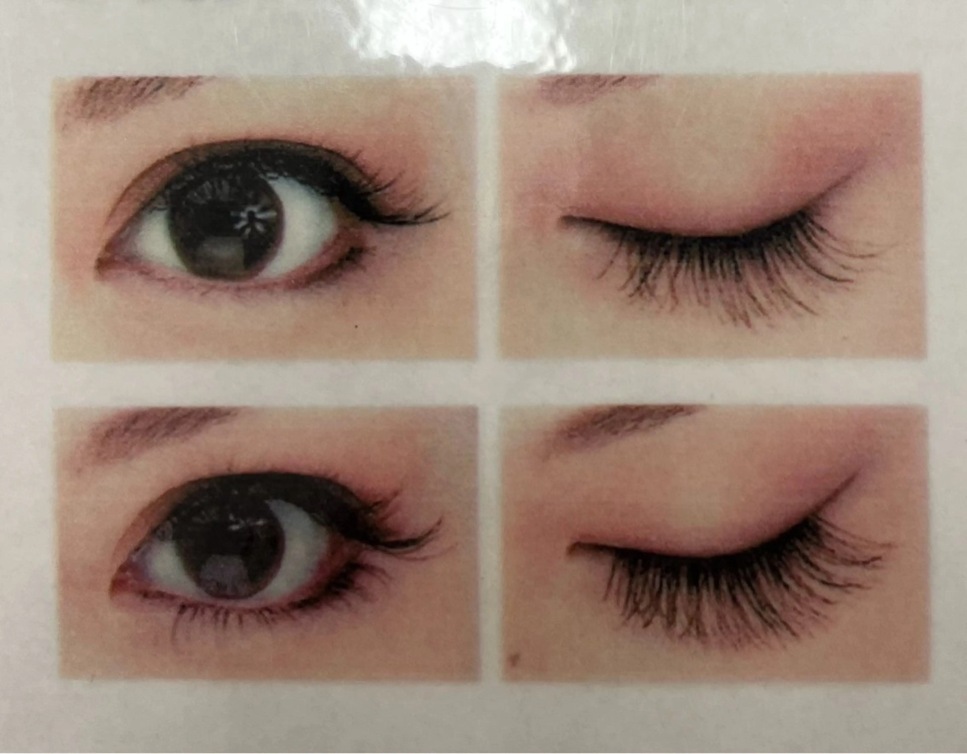 マツエク・マツパ 🧁キタハラ 🧁のマツエク・マツパデザイン