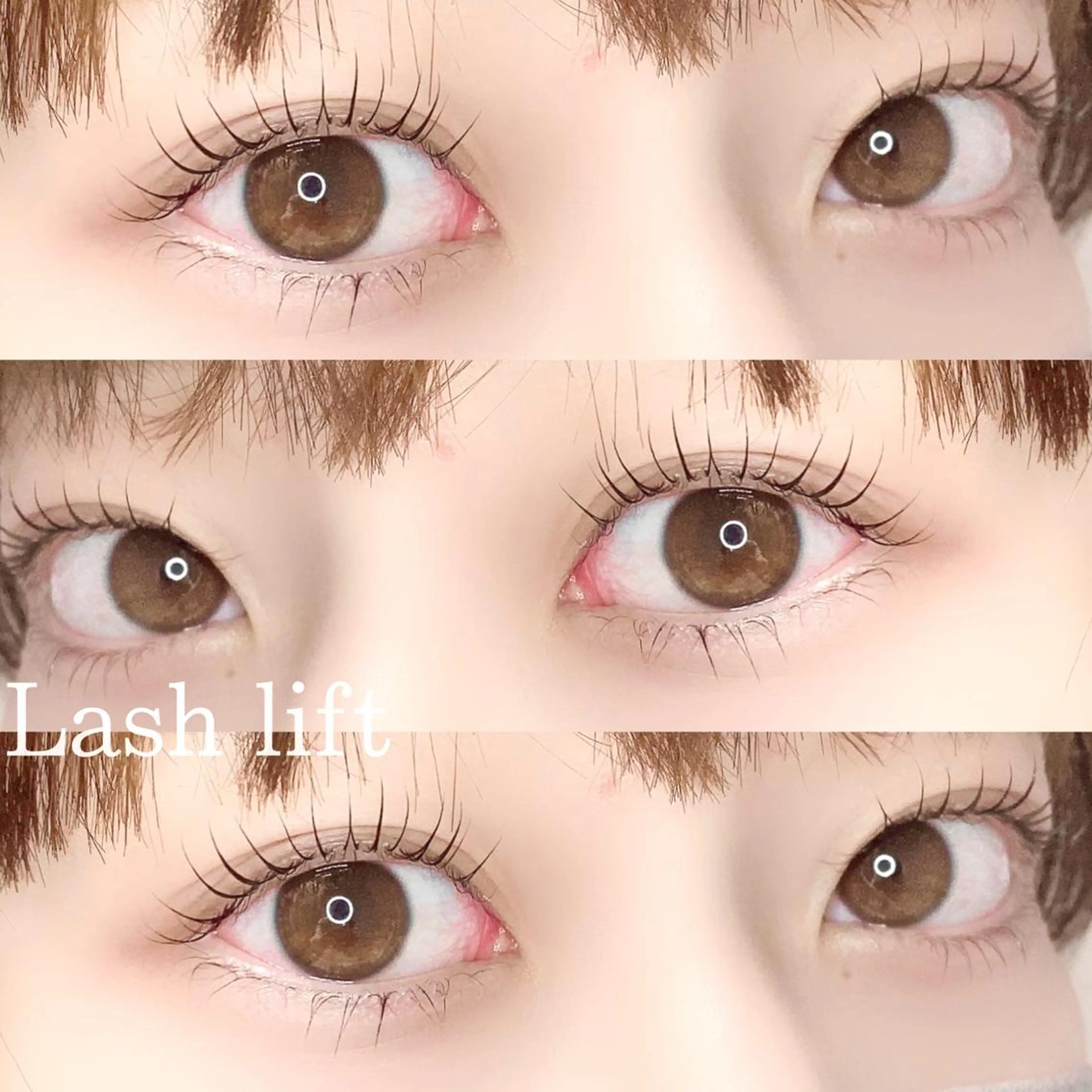 マツエク・マツパ eyelash "Koa"🕊🤎のマツエク・マツパデザイン