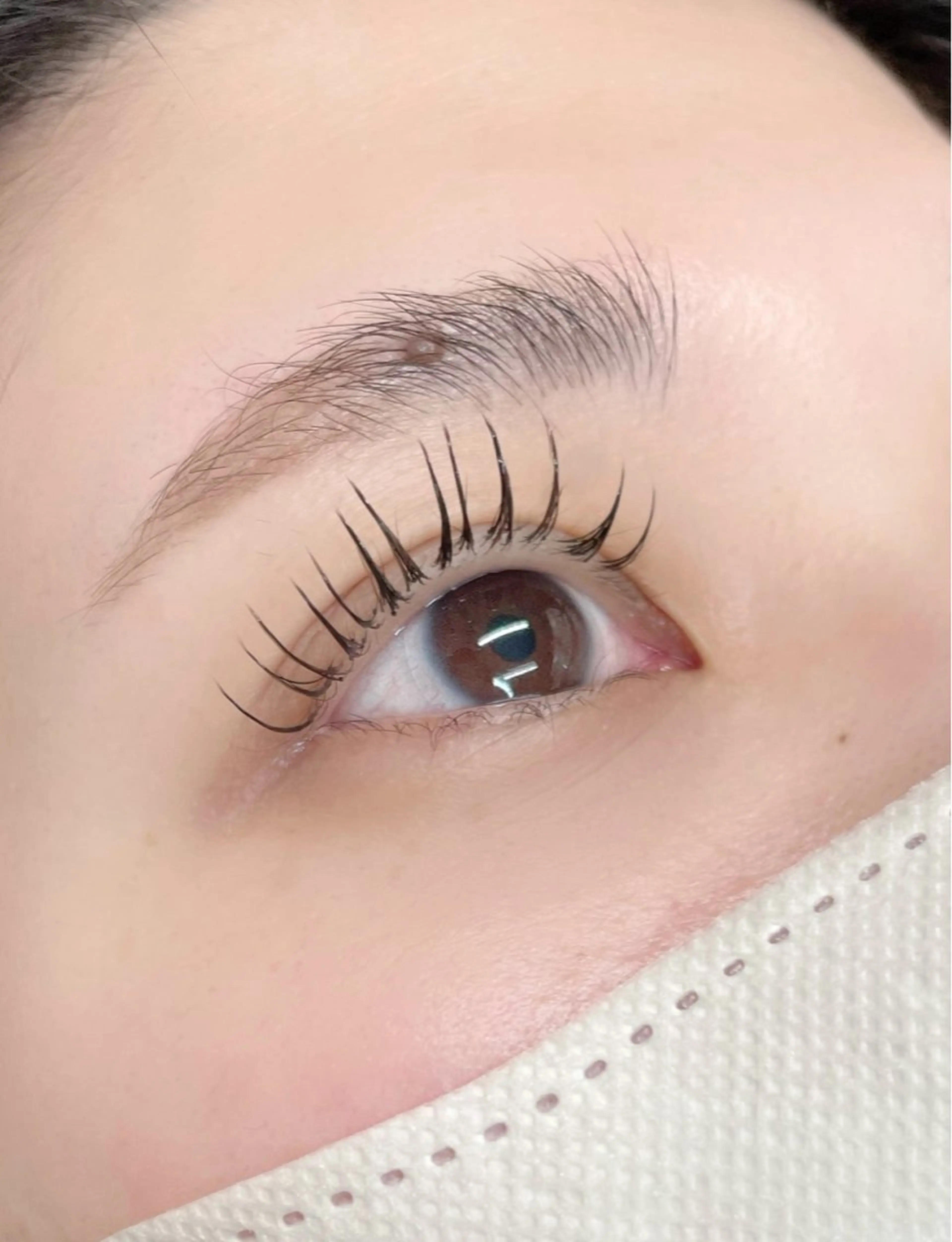 【4月22日12時のみのご予約限定】LEDフラットラッシュ140本まで￥5500の写真