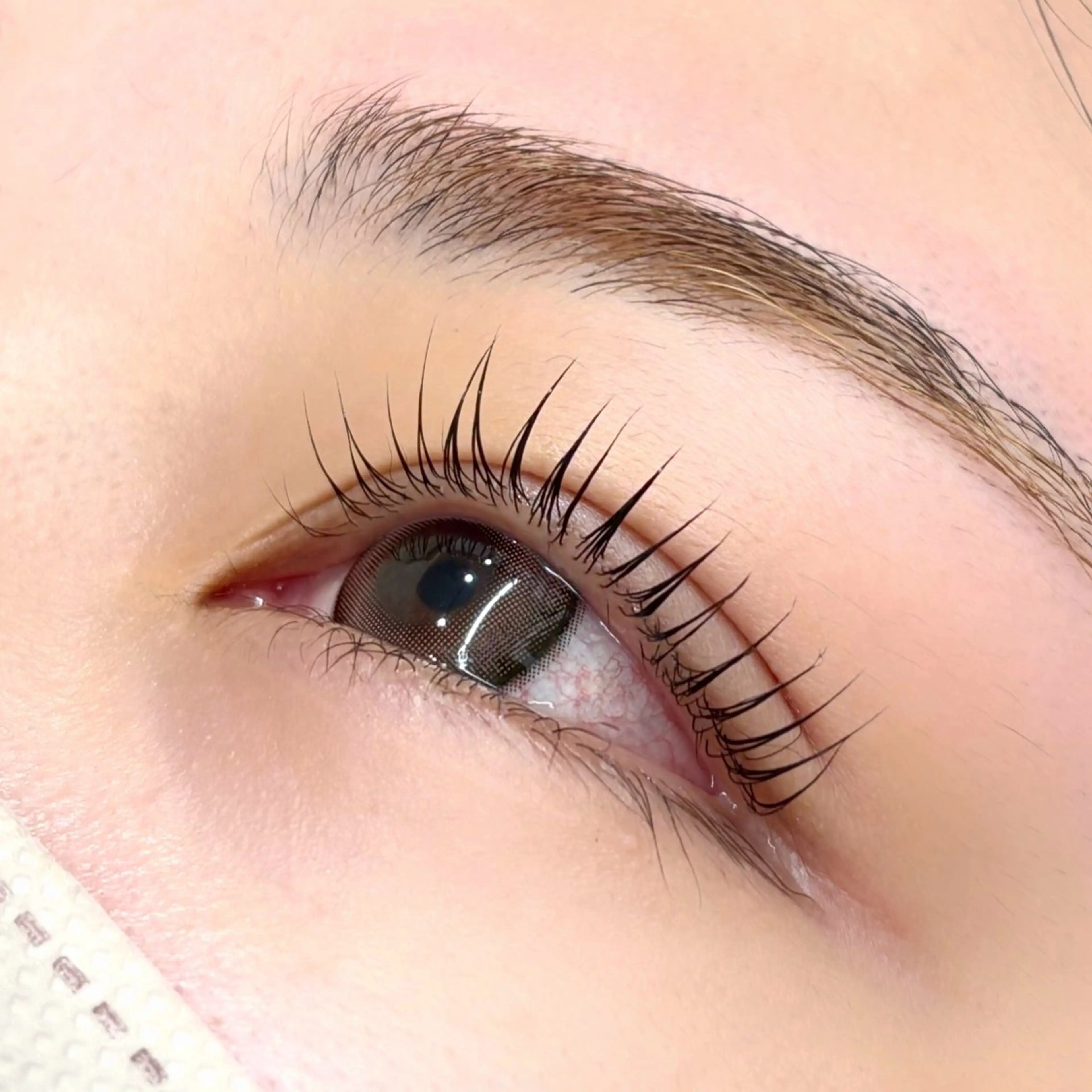 マツエク・マツパ Libre所属・Libre 伊藤藍のマツエク・マツパデザイン