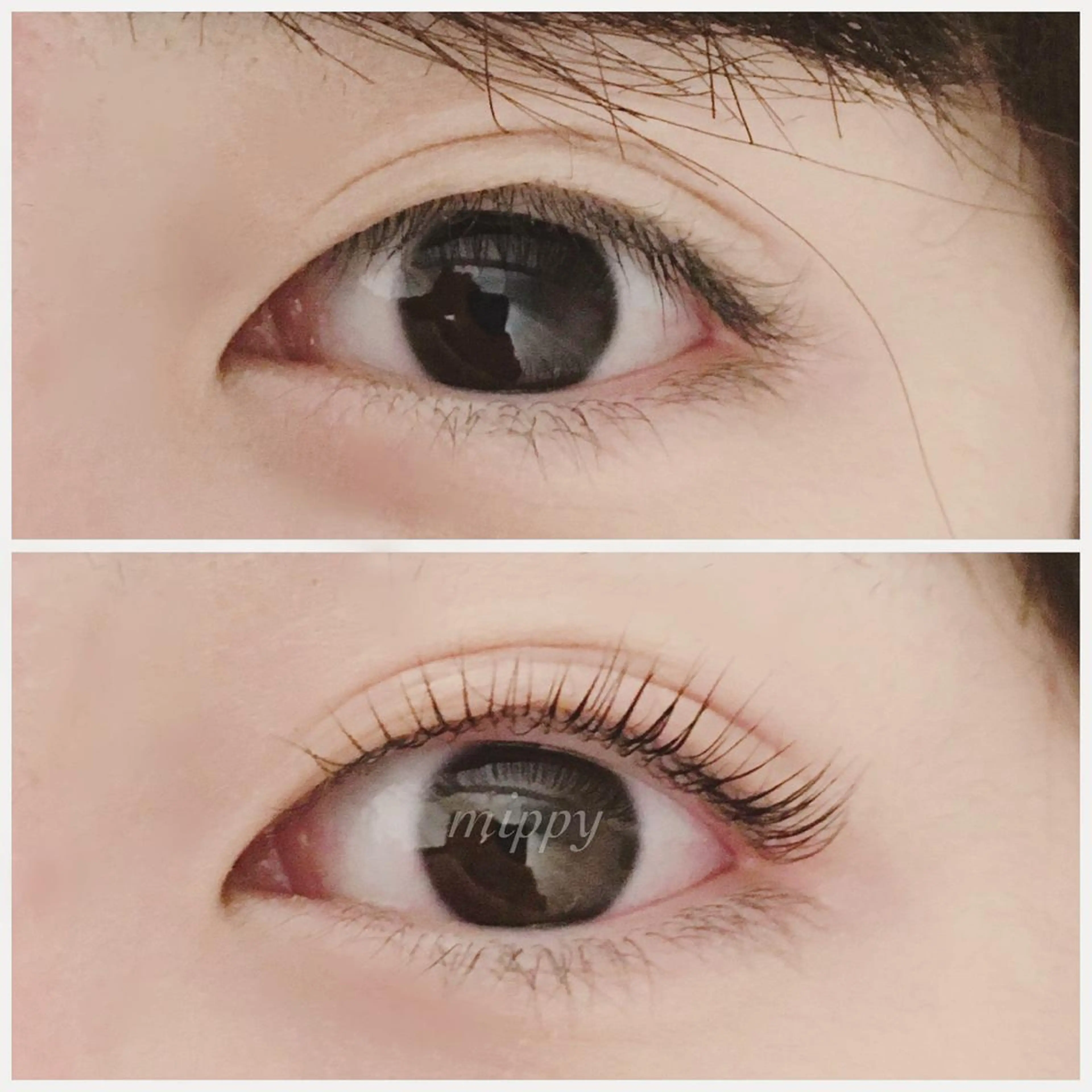 マツエク・マツパ パリジェンヌラッシュリフト ｍｉｐｐｙ 🪽のマツエク・マツパデザイン