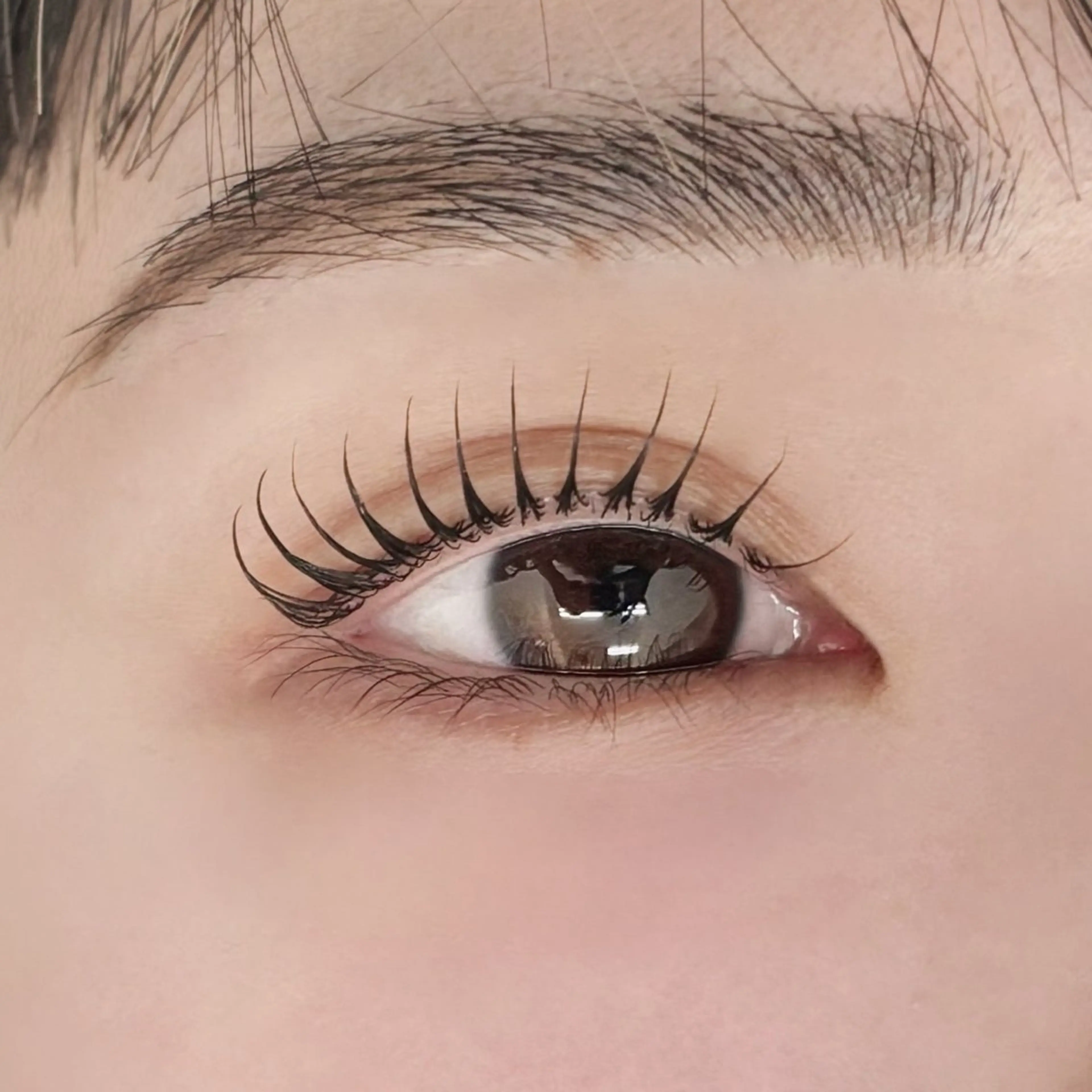 パリジェンヌラッシュリフト上のみ（トリートメント込み）の写真