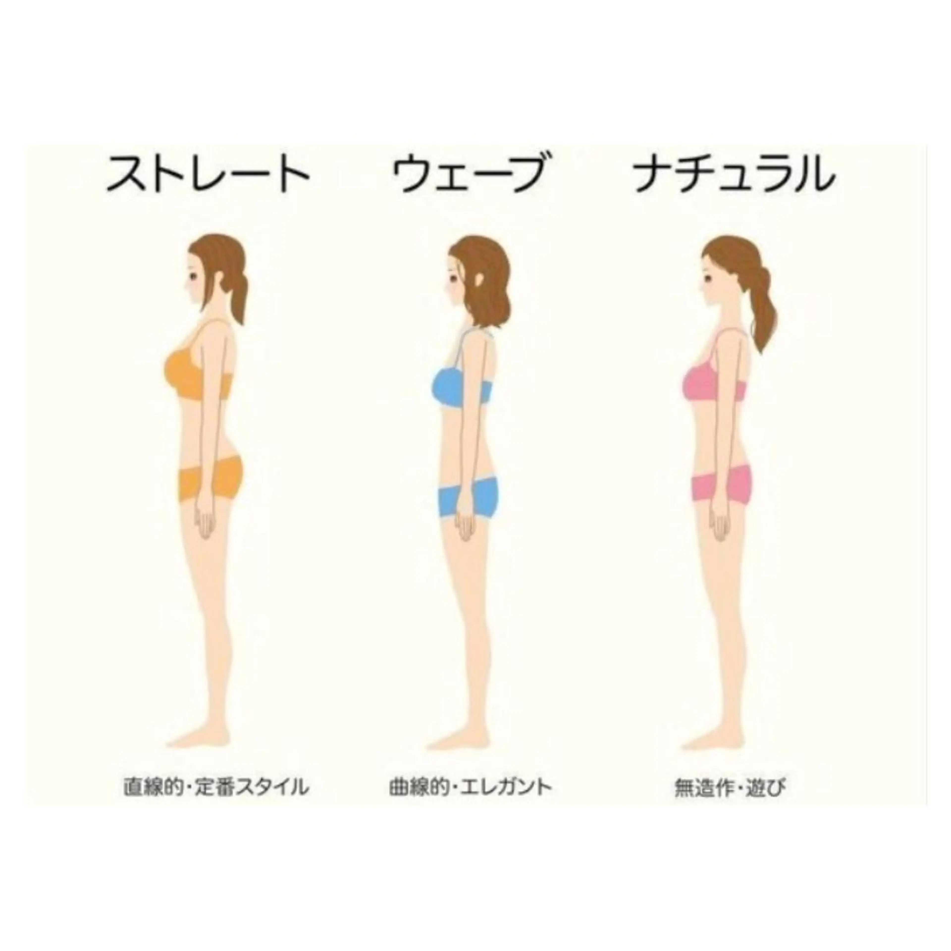 【似合うファッションアイテムがわかる冊子付♪】骨格診断の写真