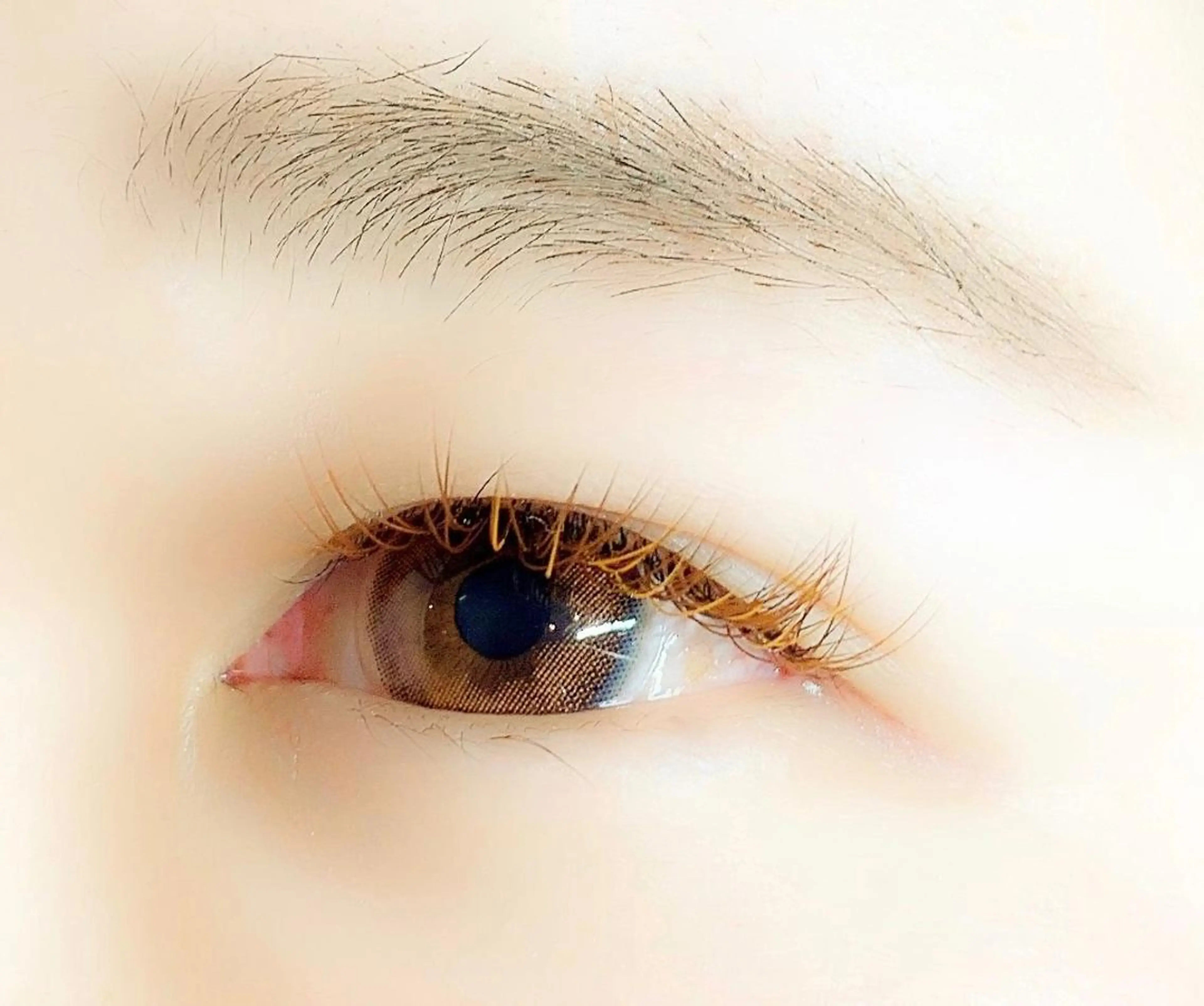 ใใใจใฏใปใใใ ใใใจใฏ ๐๐๐๐๐ ๐๐๐๐ใฎใใใจใฏใปใใใใใถใคใณ