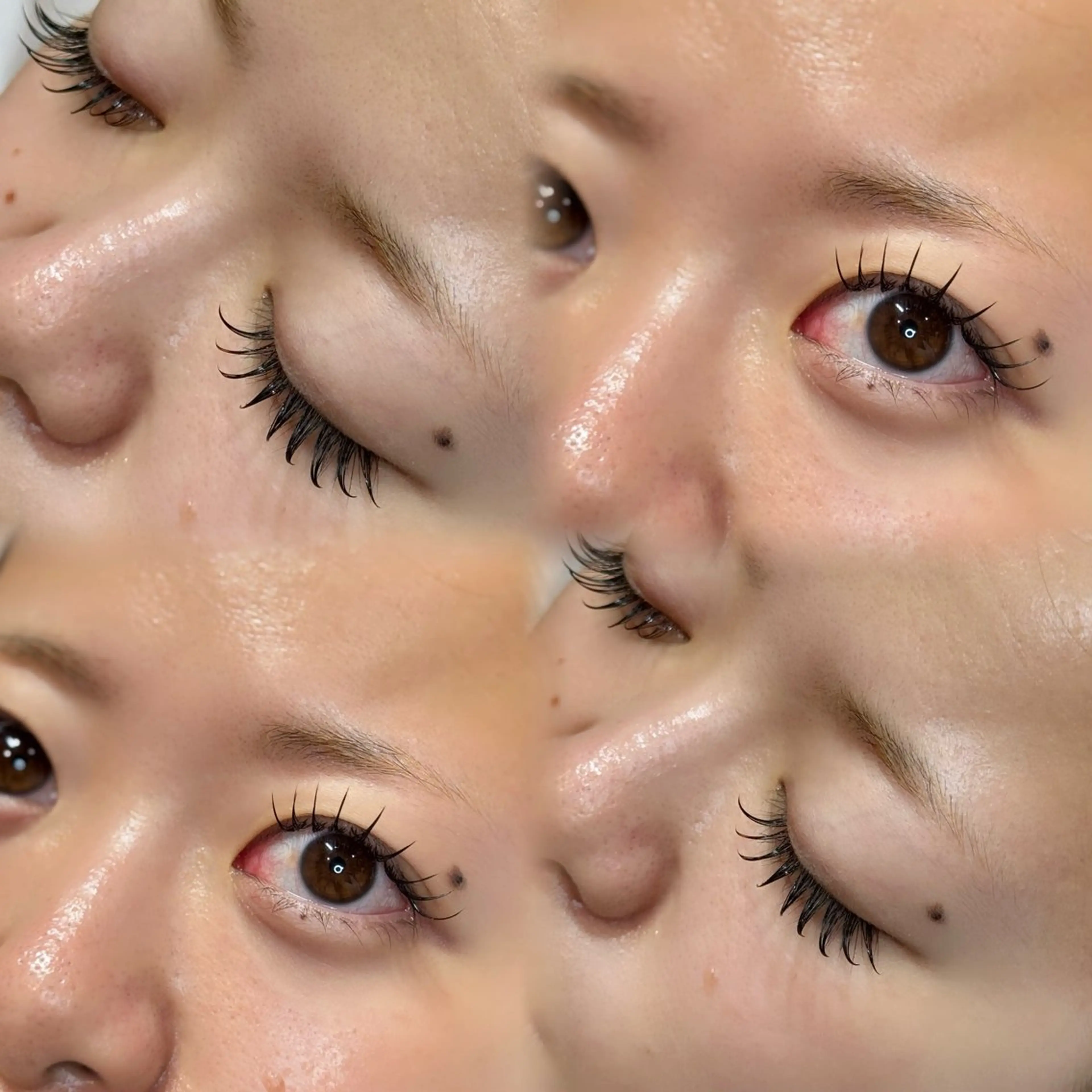 マツエク・マツパ angelica🎀 lilyの眉毛・アイブロウイメージ