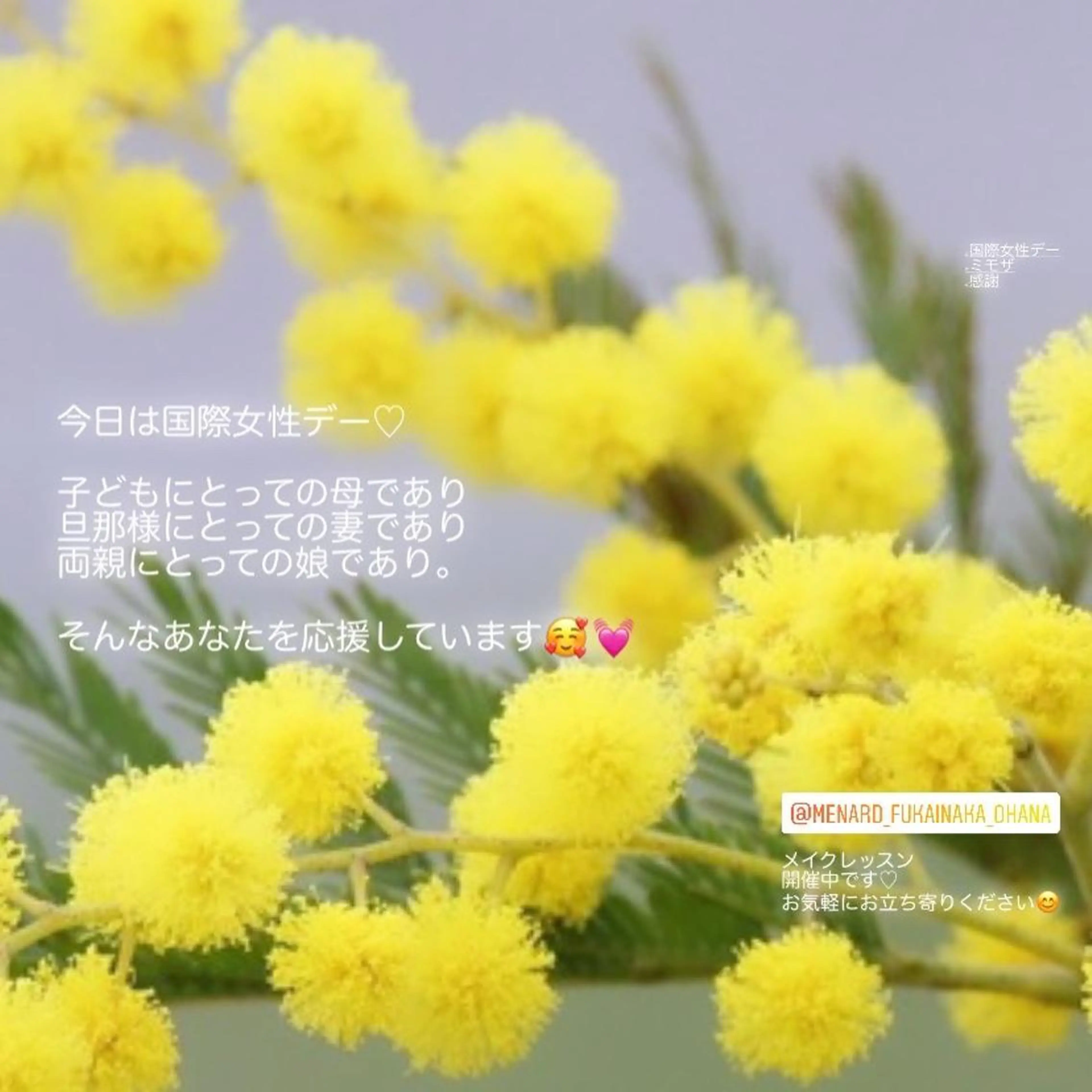 服部 恵里那のエステ・リラクイメージ