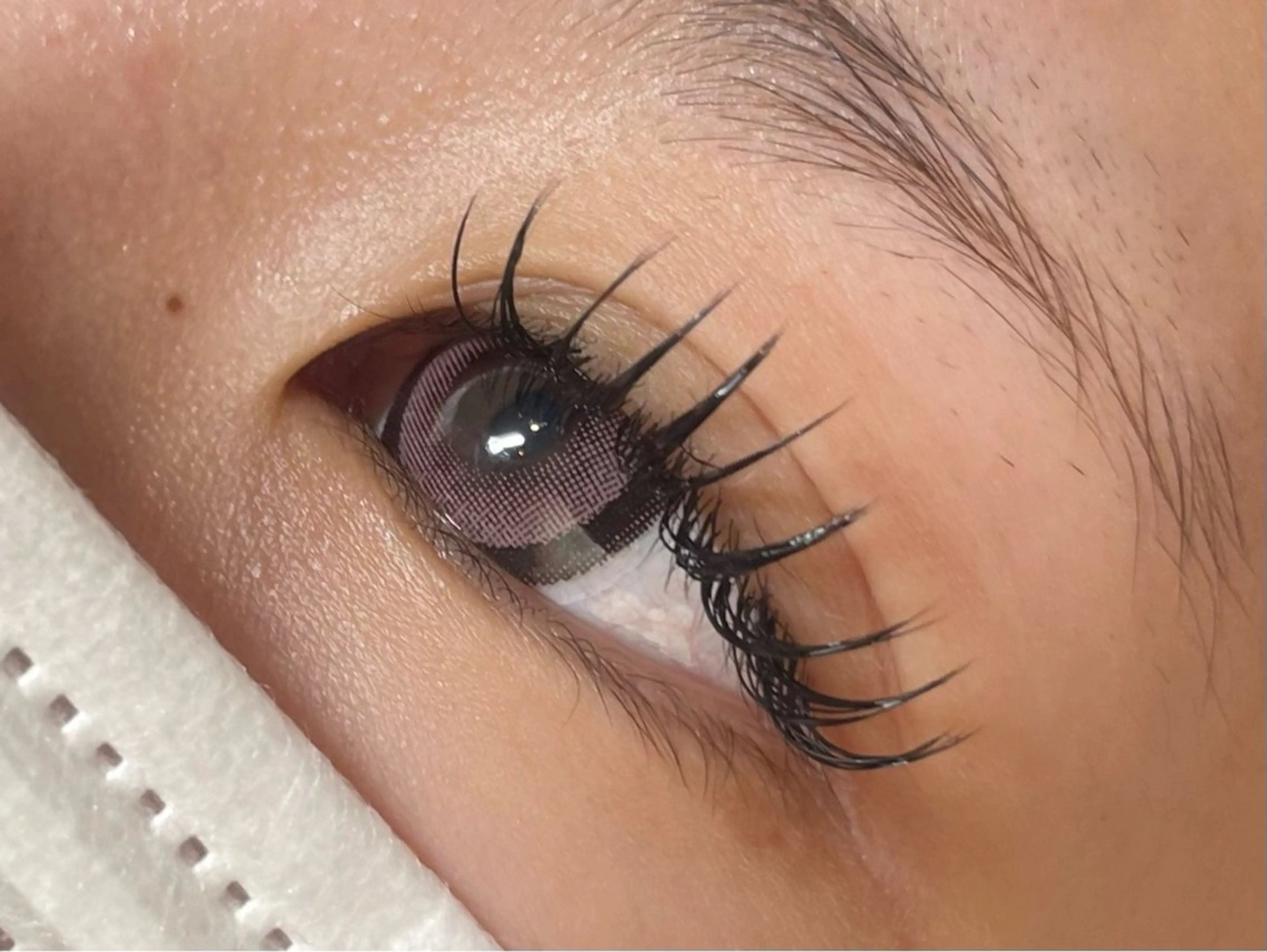 6日12時🌈バインドロック80束🌈の写真