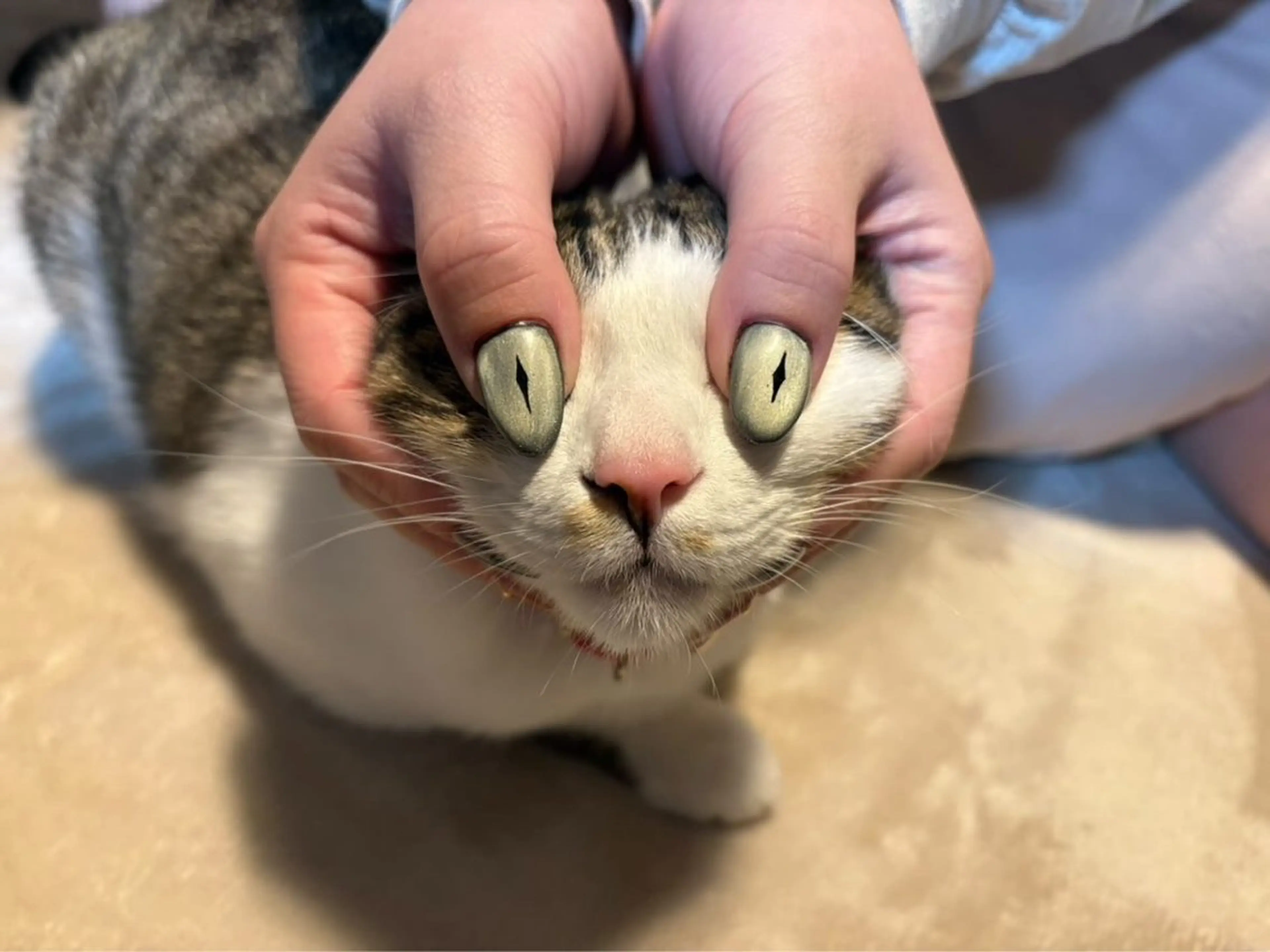 ネイル La.Mer 宮田のネイルデザイン