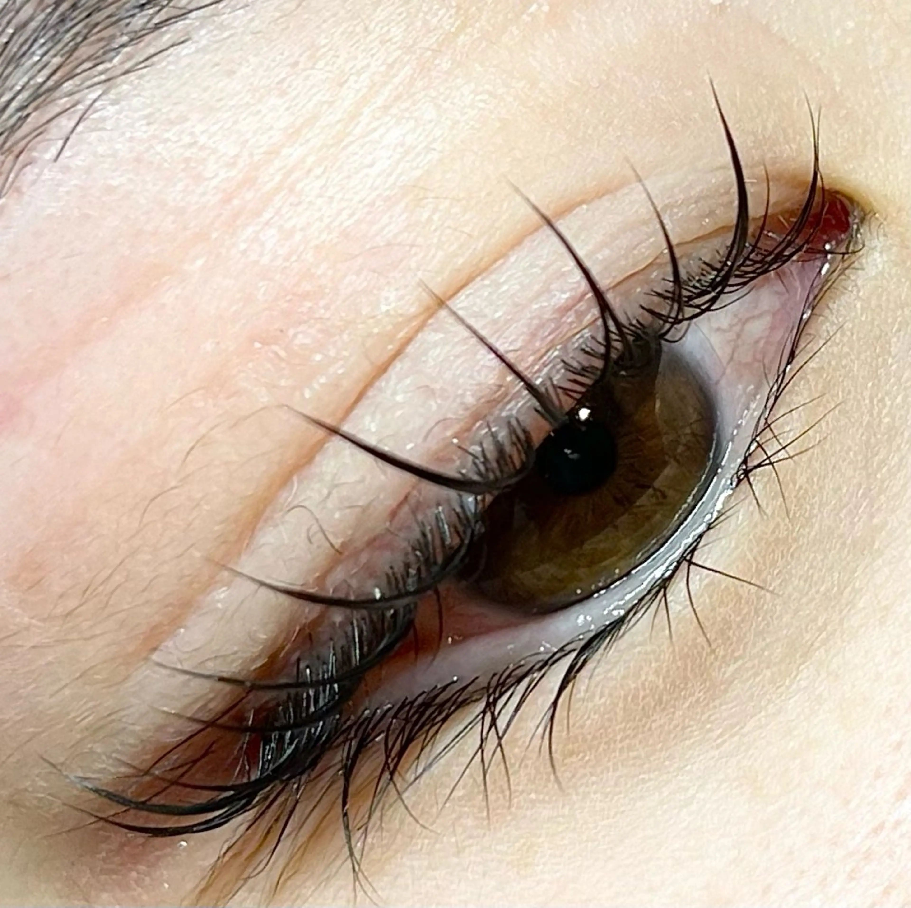 マツエク・マツパ 🍒眉毛/まつ毛 Sanaの眉毛・アイブロウイメージ