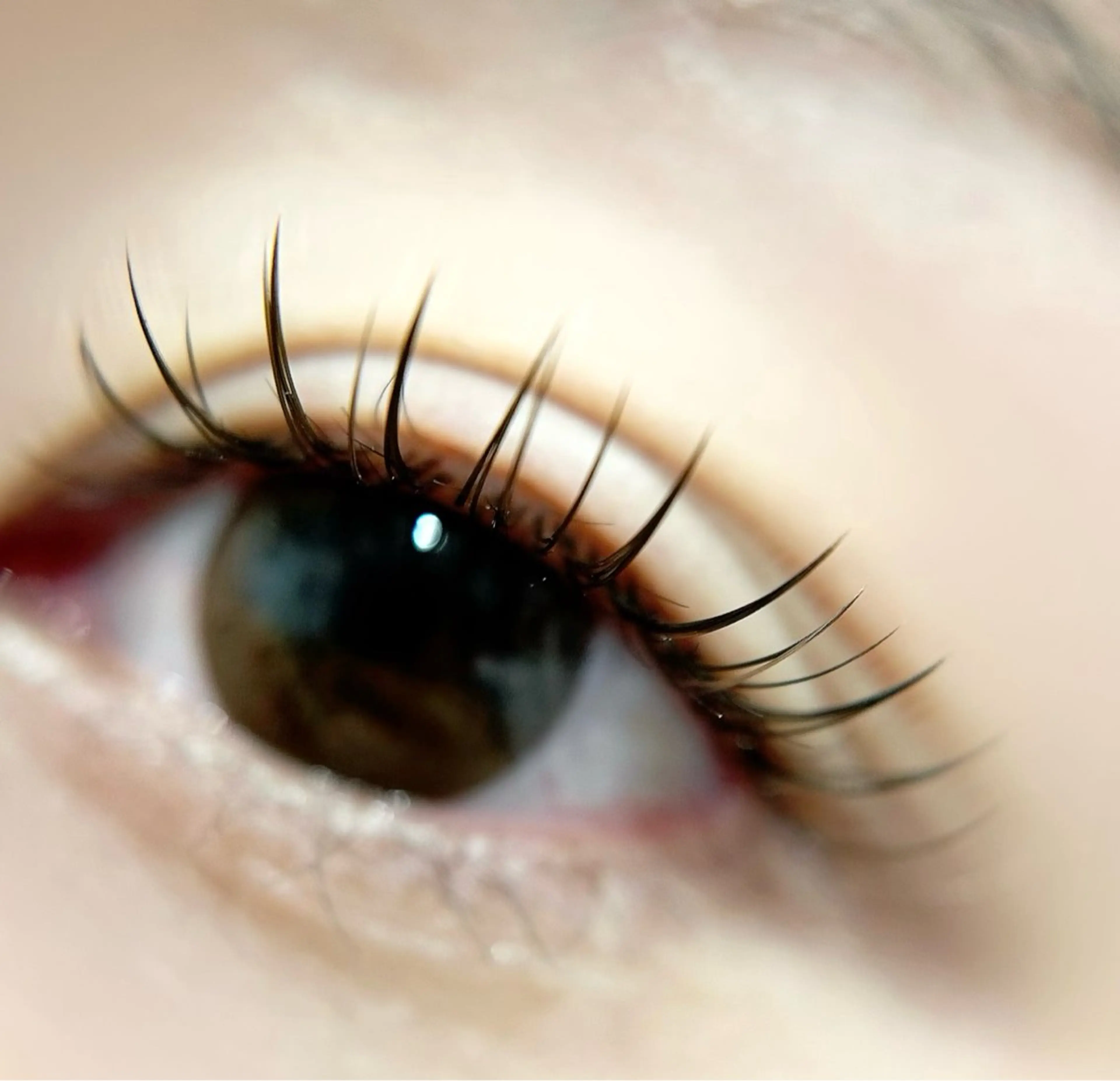 【120本】【フラットラッシュ】【アイシャンプー込み】コーティング込み🍀口コミ必須🙇♀️ミニモ特別価格🙆♀️の写真