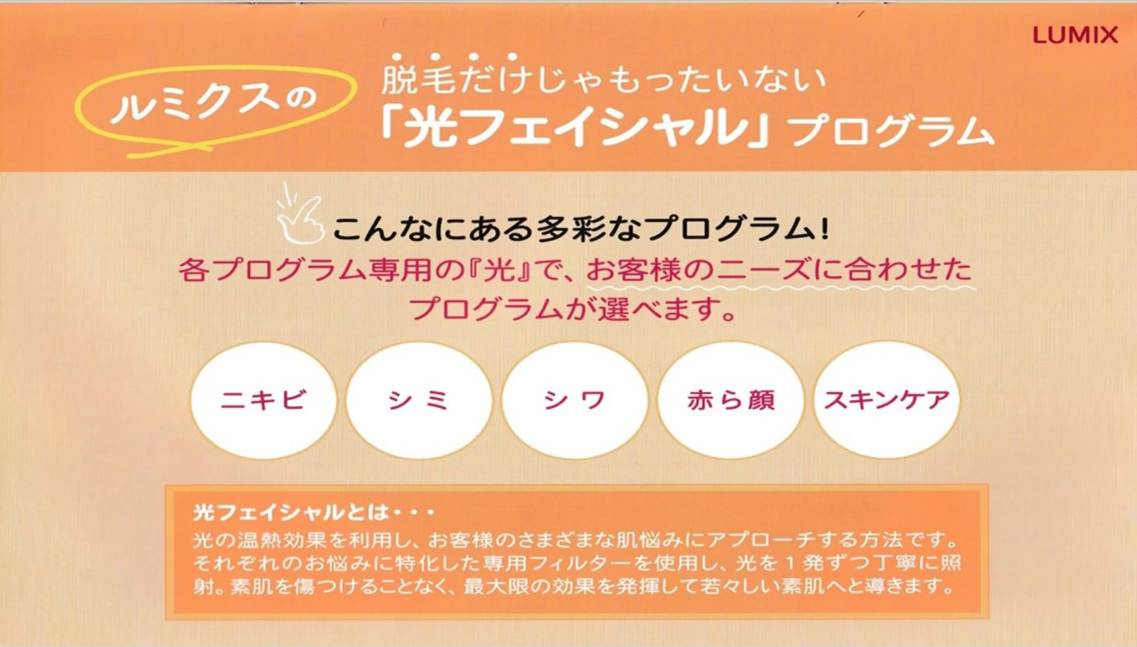 ヒカリエステBBL（ブロードバンドライト）8800円→6600円の写真