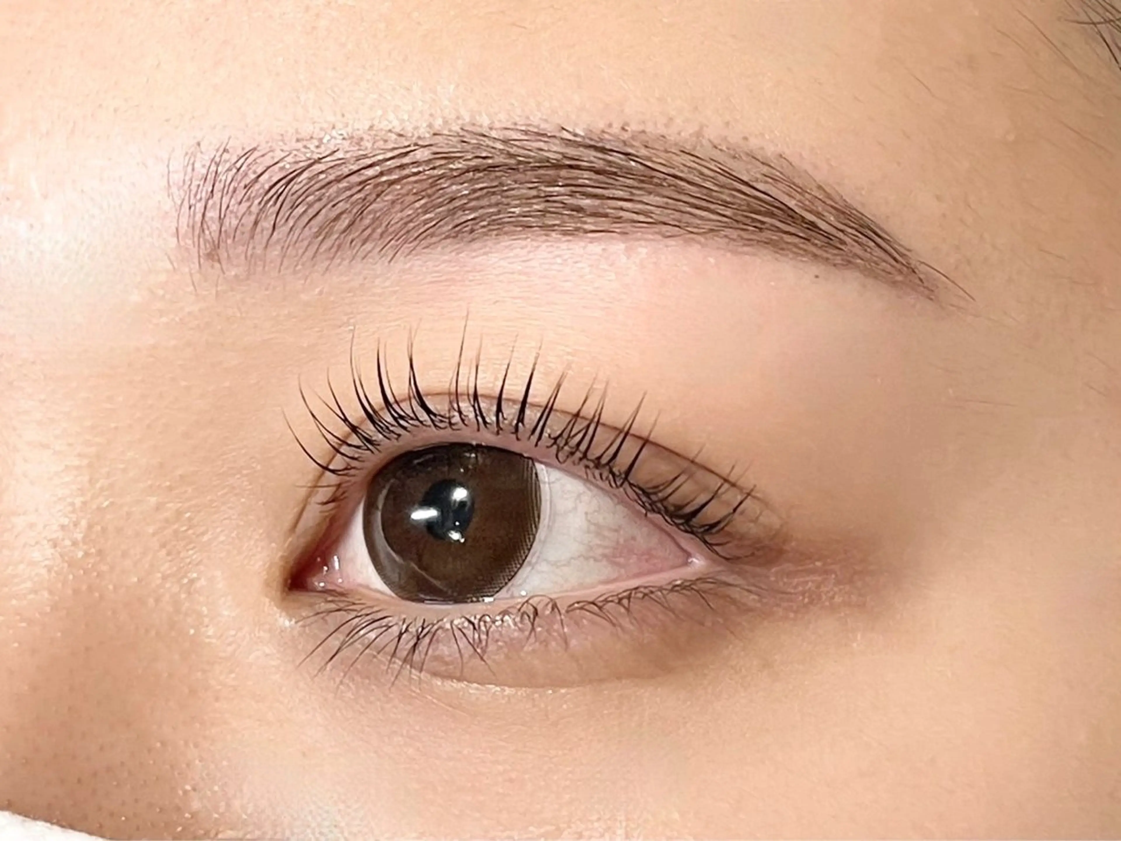 人気No.2/次世代まつげパーマ✖️美眉スタイリングの写真